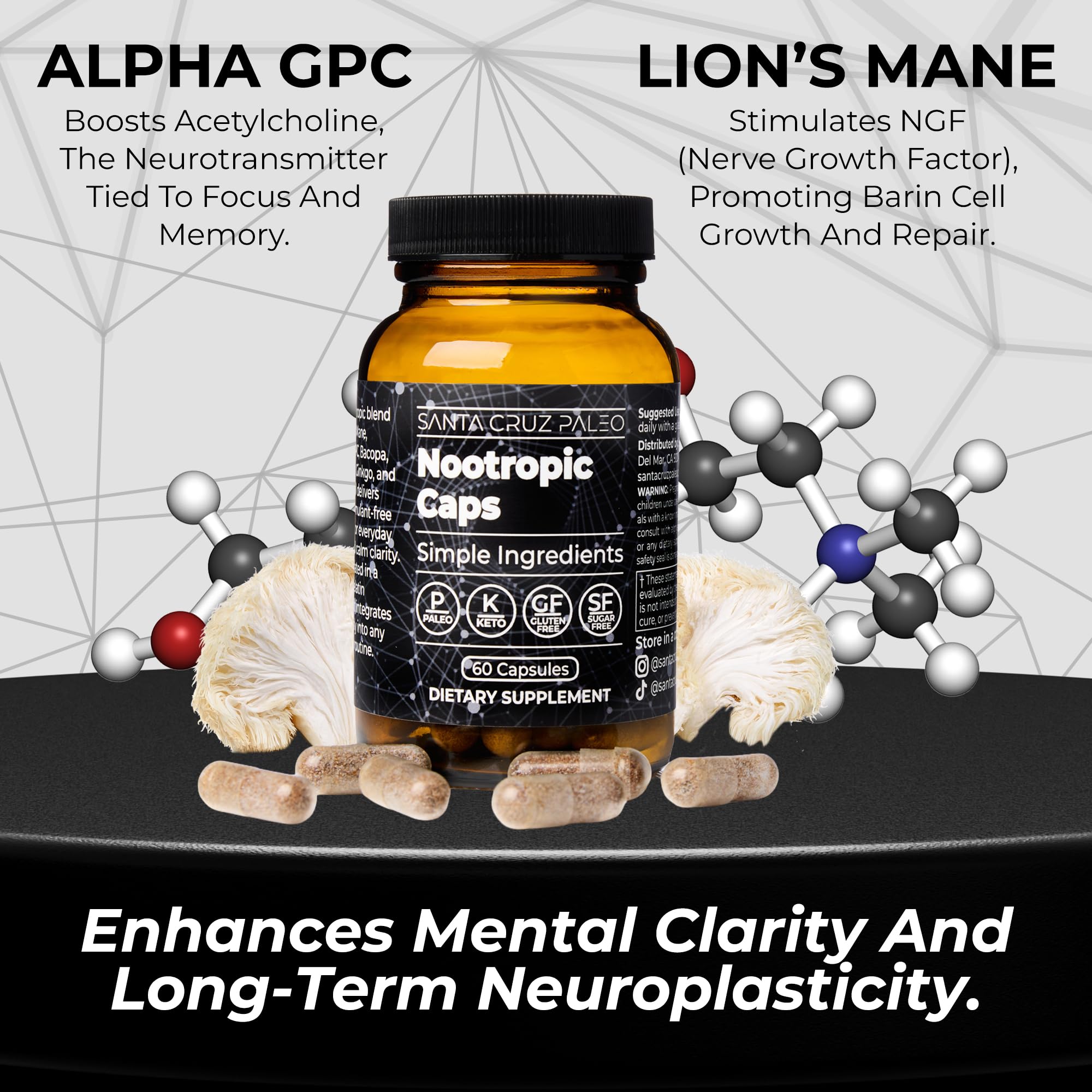 Santa Cruz Paleo Nootropic Capsules – Lions Mane, Alpha GPC, Panax Ginseng & Ginkgo Biloba for Focus, Memory, Mental Clarity & Energy – Keto, Paleo, Gluten Free Brain Supplement, 60 Caps Santa Cruz Paleo uk supplements