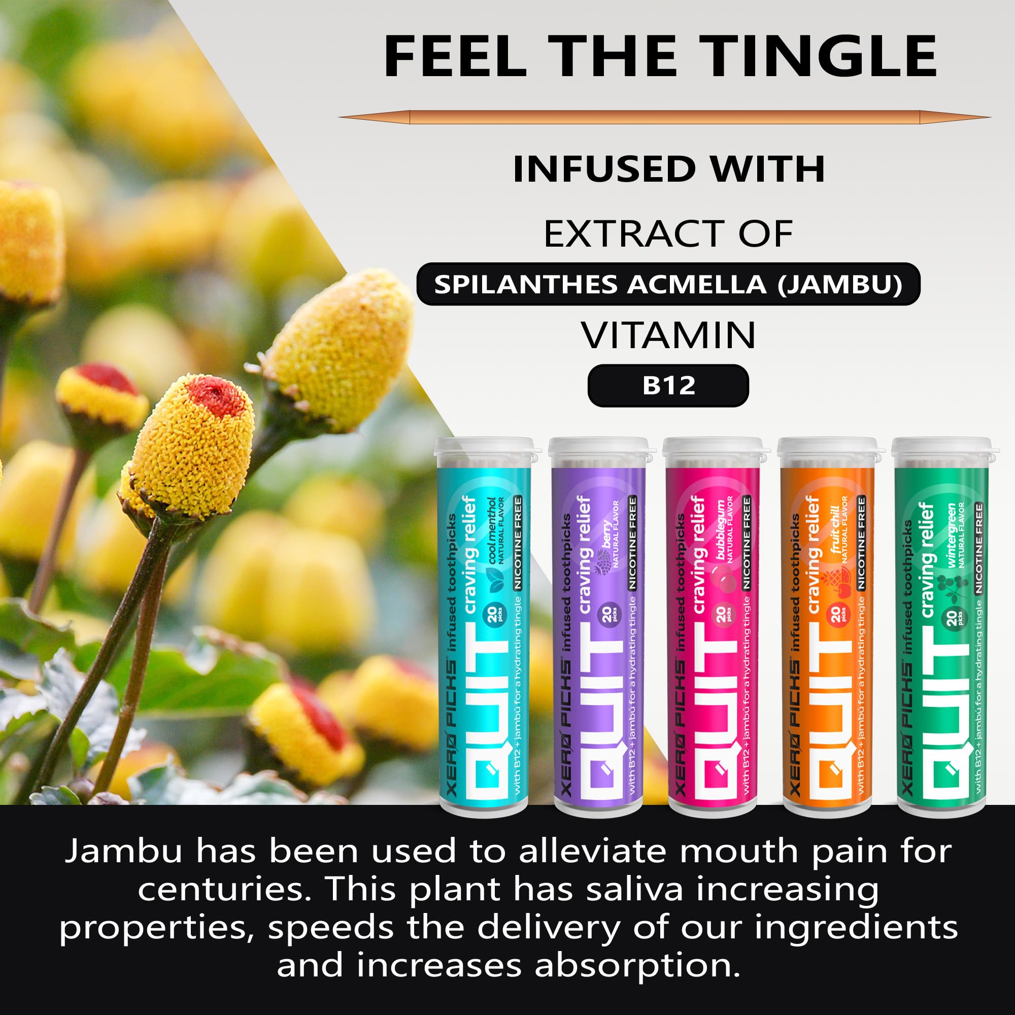 Xero Picks Infused Flavored Toothpicks to Help Quit Smoking - Nicotine Xero Picks uk supplements