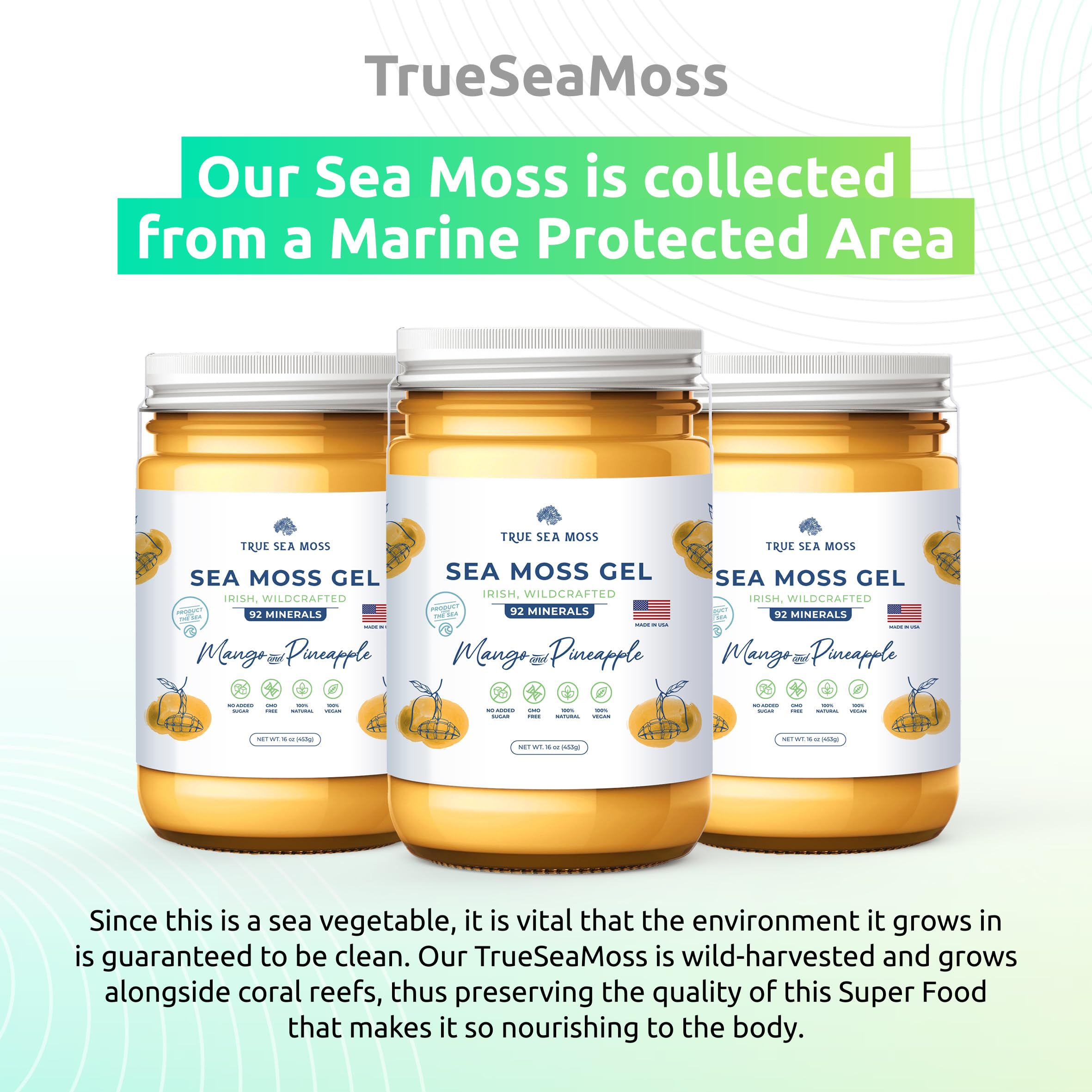 TrueSeaMoss Wildcrafted Irish Sea Moss Gel – Nutritious Organic Raw Seamoss Rich TrueSeaMoss uk supplements