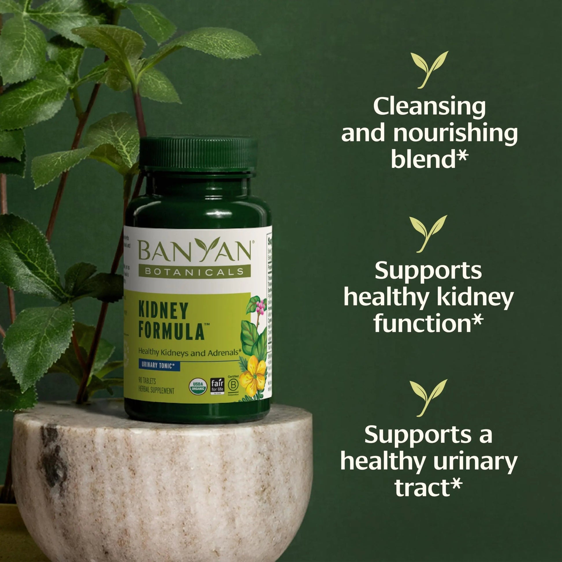 Banyan Botanicals Organic Kidney Formula–Urinary Tract Support & Detox Supplement–Gokshura & Punarnava for Fluid Balance & Systemic Cleansing–Cooling Genitourinary Tonic-90 Tablets-USDA Organic Banyan Botanicals uk supplements