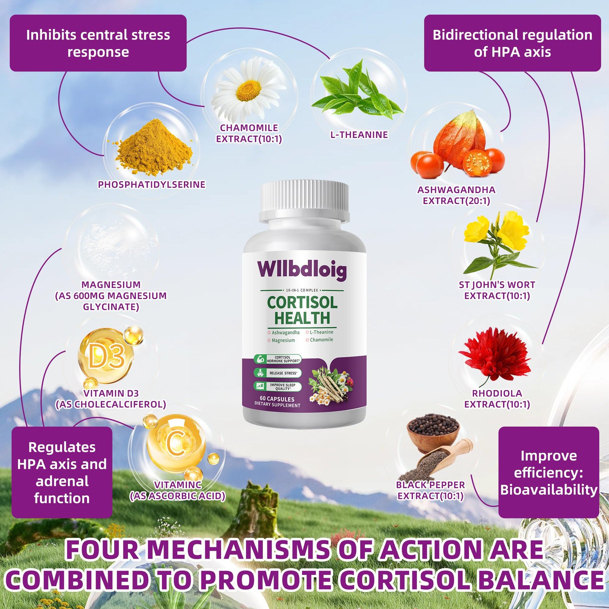 Cortisol Supplements for Women Men, High Cortisol Reducer Health, Detox Cortisol Manager for Stress Relief ,Mood and Sleep with Ashwagandha, L-Theanine, Lower and Control - Non-GMO,Vegan 60 Capsules Wllbdloig uk supplements