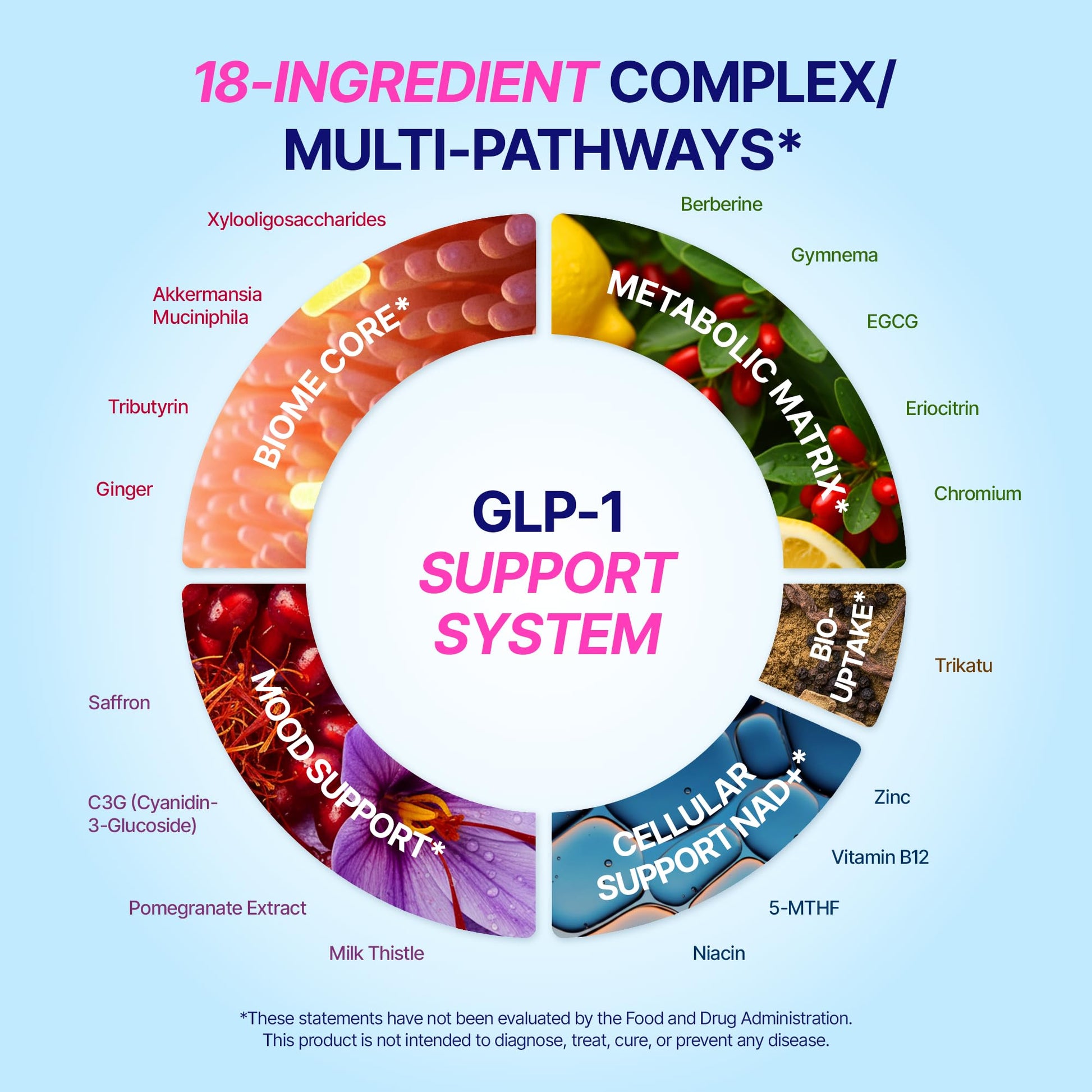 GLP-1 Support – Akkermansia Postbiotic 10B TFU + Berberine HCl 250 mg | 18-Ingredient System | Appetite, Mood & Metabolic Support | Inulin-Free | Saffron, NAD+ Cofactors | 3 Pack | 90-Day Supply ANTROLIFE uk supplements