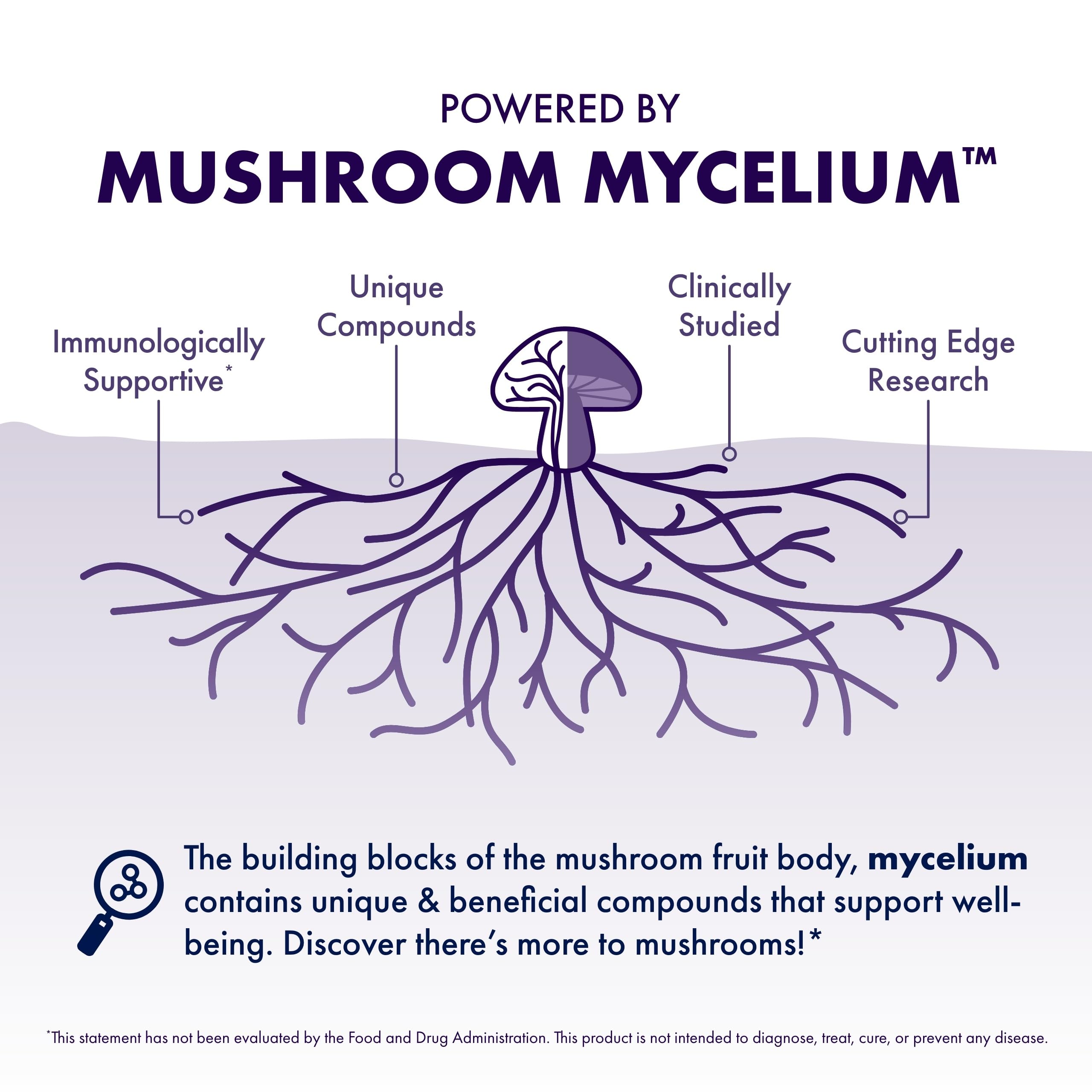 Host Defense MycoBotanicals Brain* Capsules - Brain Support Supplement with Lion's Mane, Reishi & Cordyceps Mushroom - Herbal Supplement for Memory & Focus Support - 60 Capsules Host Defense uk supplements