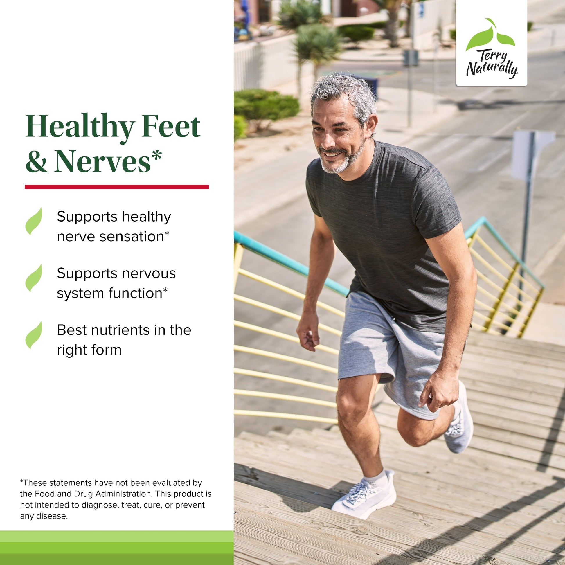 Terry Naturally Healthy Feet & Nerves - Herbal Supplement with Bioactive Vitamin B12 - Circulation & Nerve Health Support Supplement - Vegan Capsules with Boswellia Serrata - 60 Capsules Terry Naturally uk supplements
