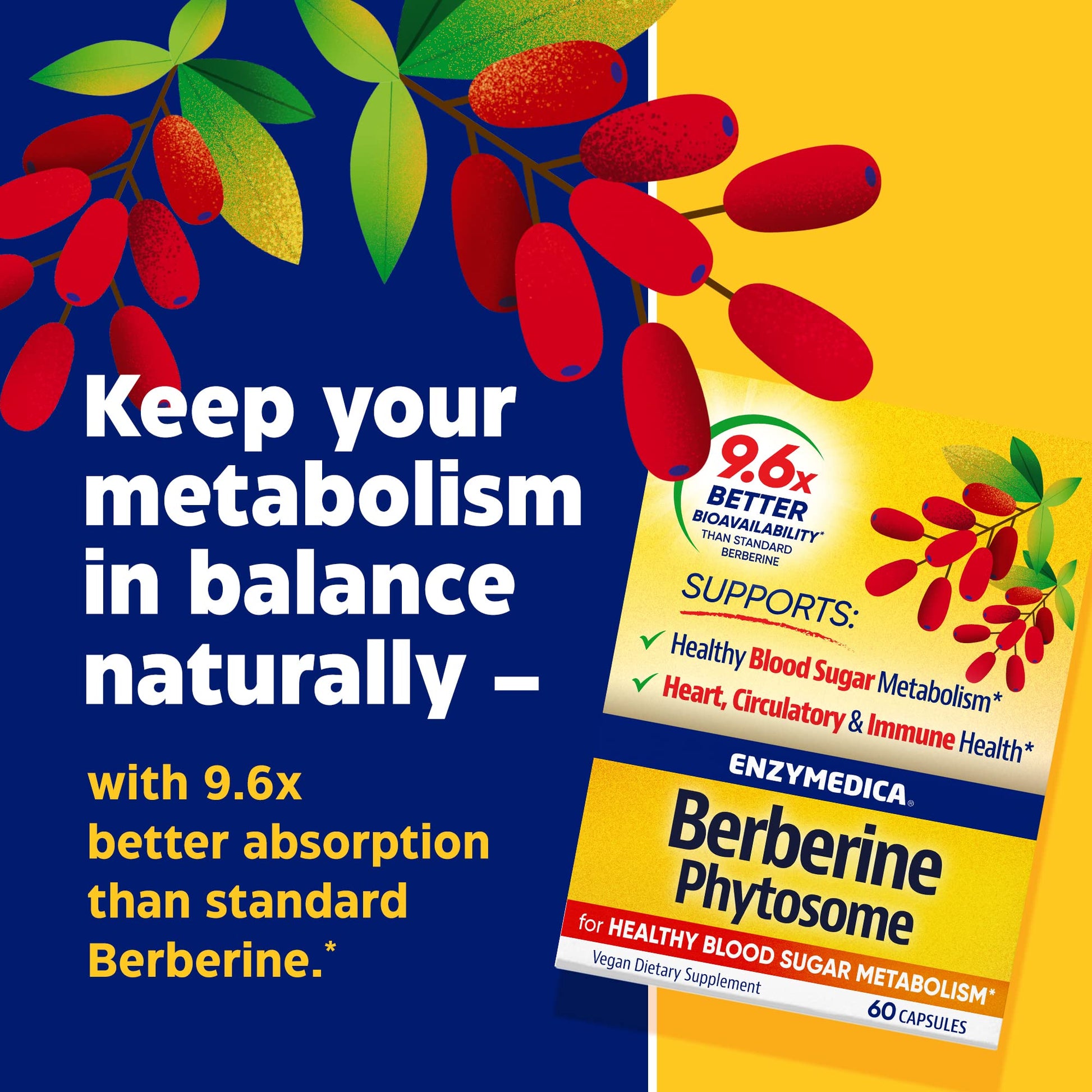 Enzymedica, Berberine Phytosome Enzymedica uk supplements