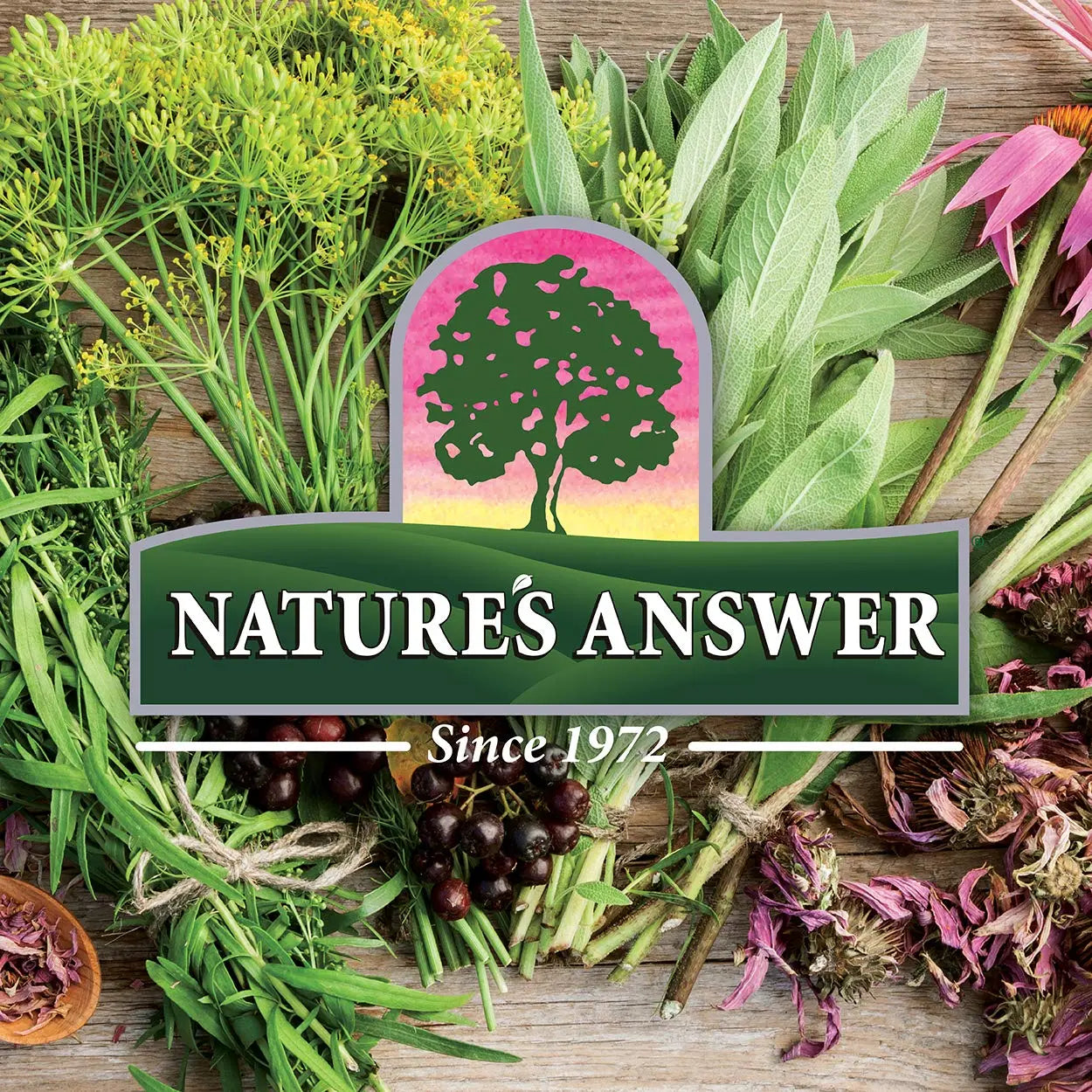 Nature's Answer Women's 100, Multivitamin, 60 Vegetarian Capsules Nature's Answer uk supplements