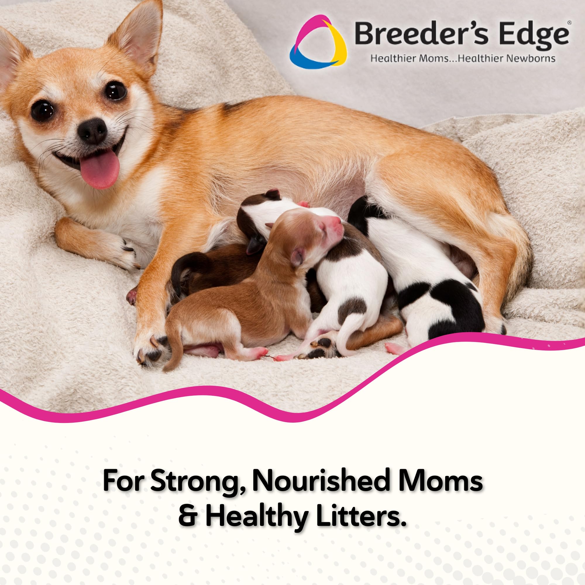 Breeder's Edge Oxy Momma Soft Chews, Postnatal Vitamin Supplement for Lactating Dogs and Cats, Supports Recovery, Hormones, and Next Pregnancy - for Small Dogs & Cats, 40ct Soft Chews Revival Animal Health uk supplements