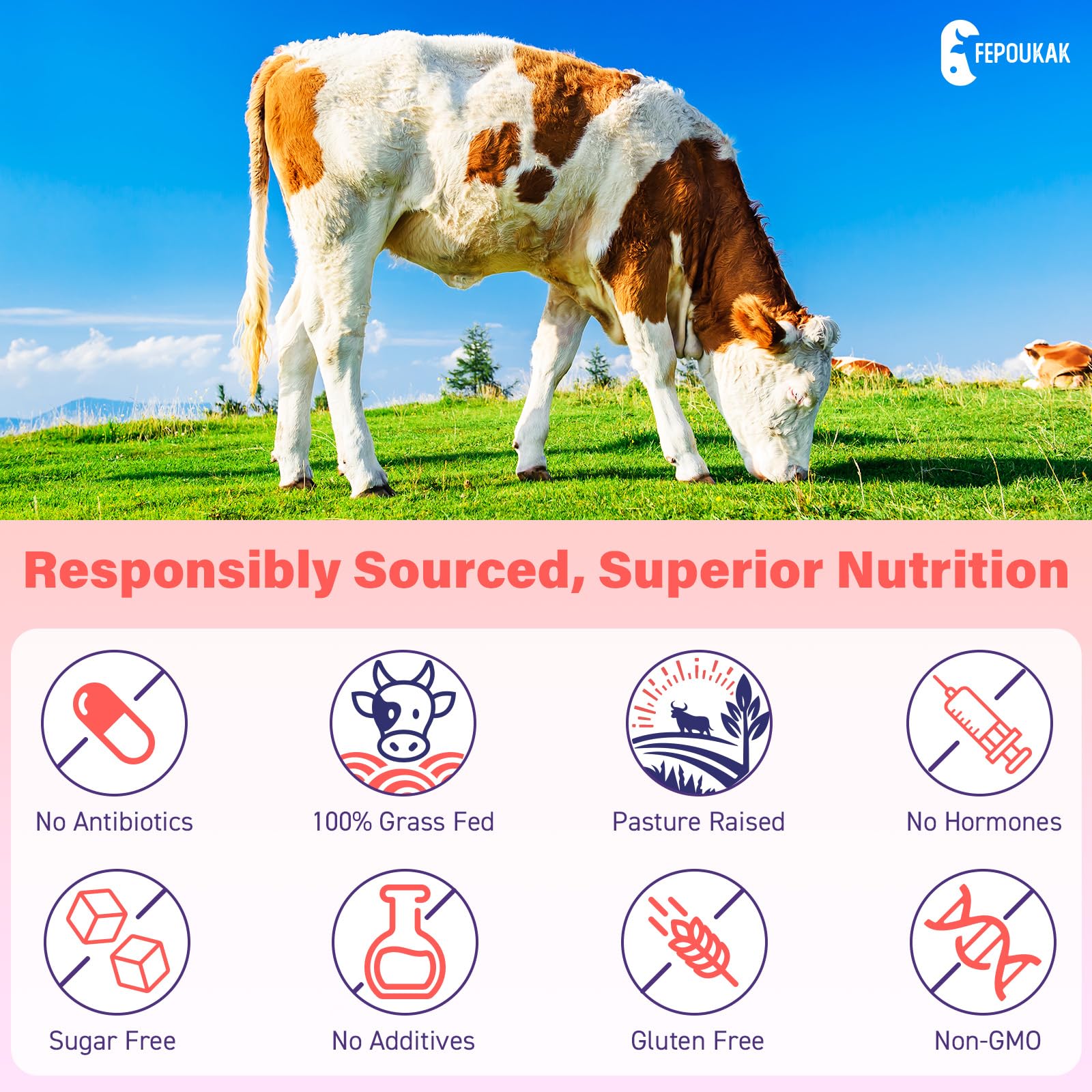(180 Gummies) Beef Organ Supplement for Women - 5300mg Beef Liver, Kidney, Uterus & 10 More, for Hormone Balance, Menstruation, Energy, Immunity, Gut & Skin Health - 100% Grass Fed & Pasture Raise Fepoukak uk supplements