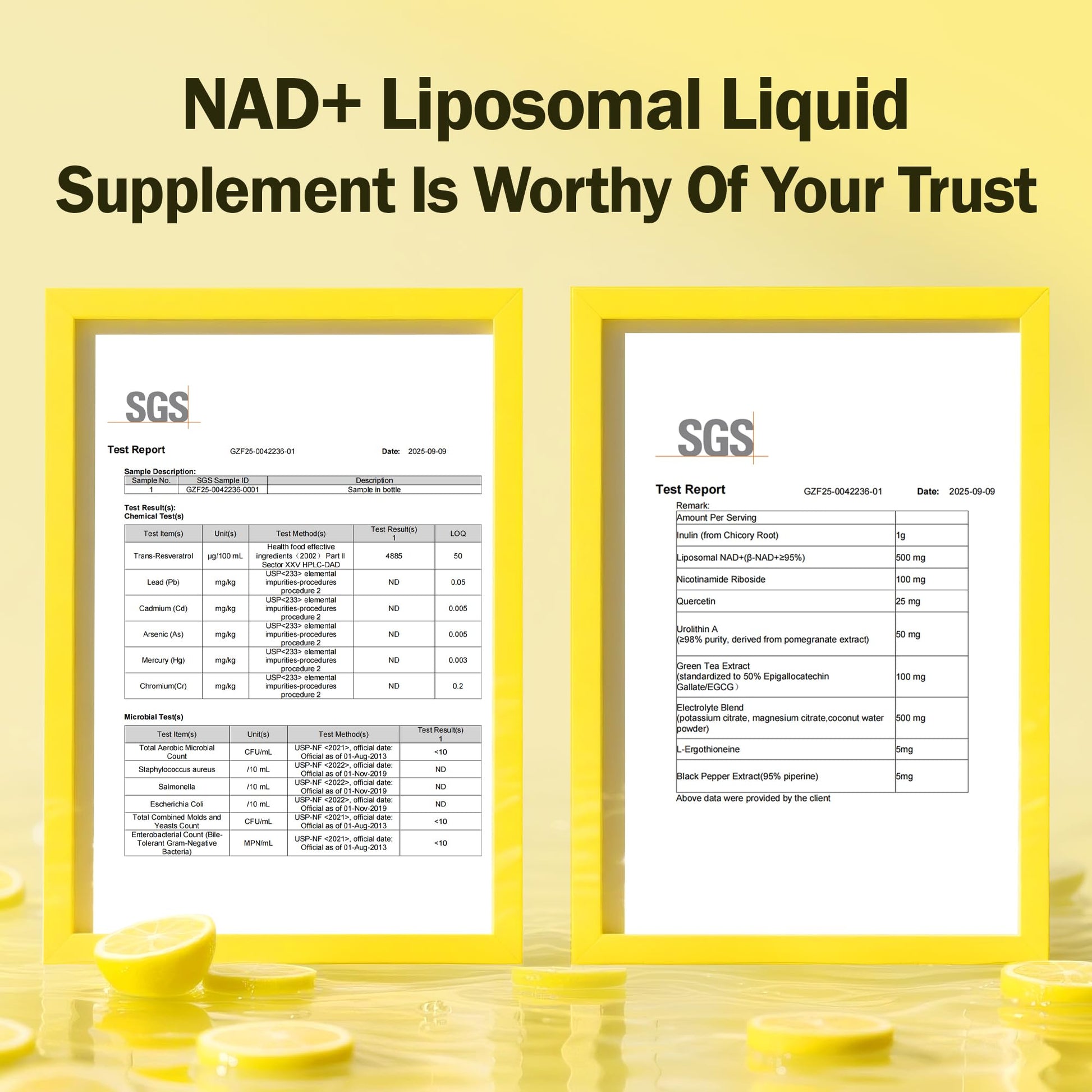 Liposomal NAD+ Liquid Supplement - Designed to Help Support Absorption - Nhanced Cellular Uptake, Helps Support Normal Cellular Health, Supports Cellular Energy Metabolism and Vitality - Lemon Flavor BAKAKOUL uk supplements