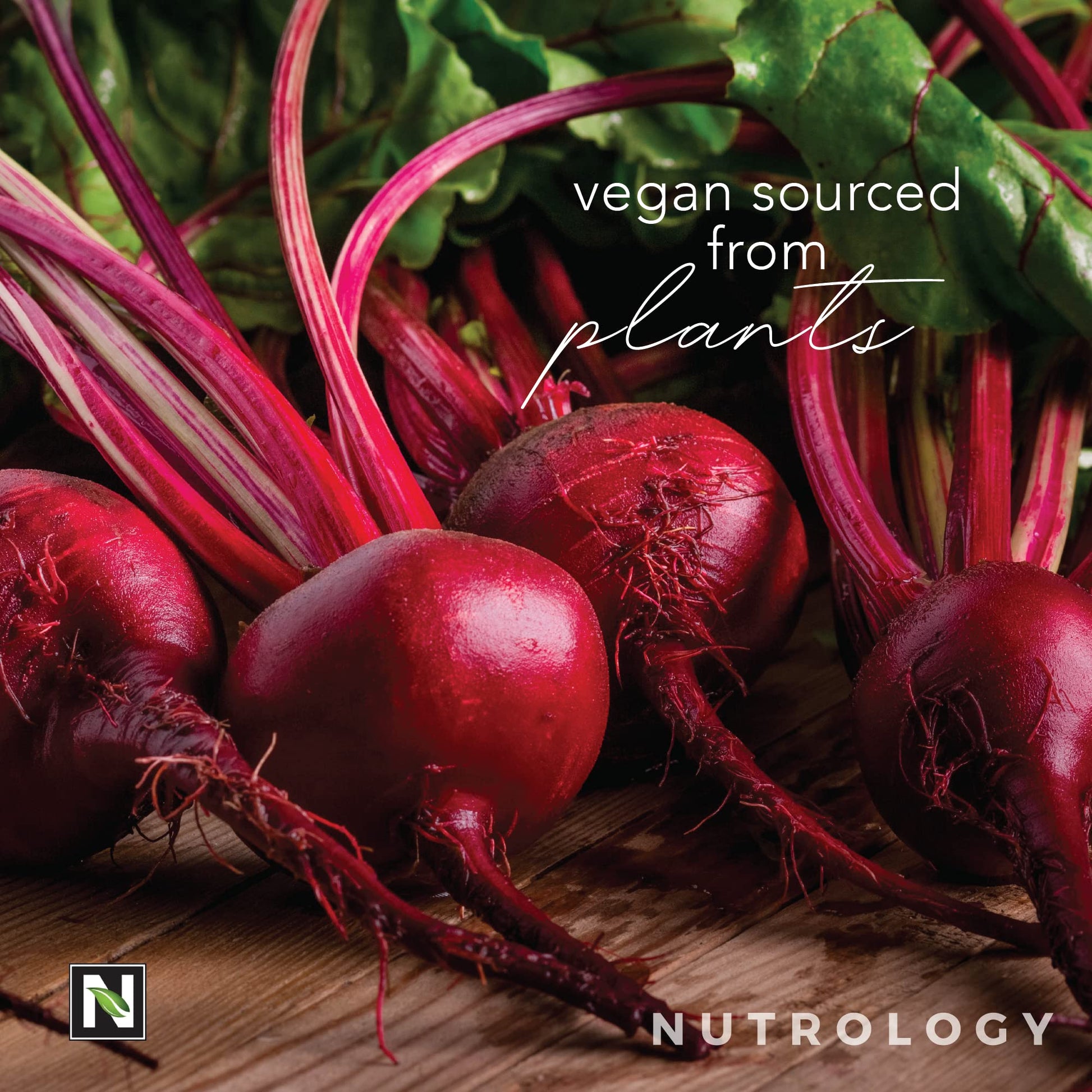 Nutrology Beet Active, Natural Pre-Workout Powder, Supports Energy, Endurance & Nitric Nutrology uk supplements