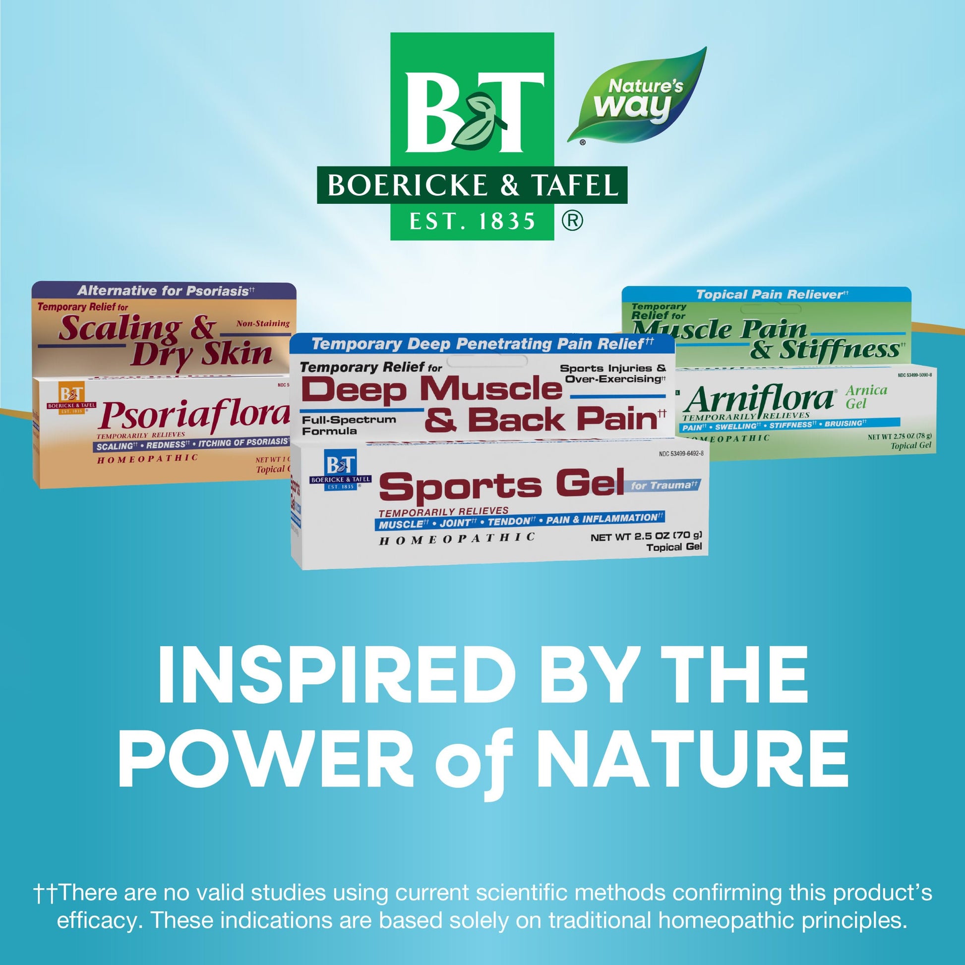 Nature's Way Boericke & Tafel Sports Gel, Relief for Deep Muscle, Joint, Tendon, & Back Pain and Inflammation, Homeopathic, 2.5 oz Nature's Way uk supplements
