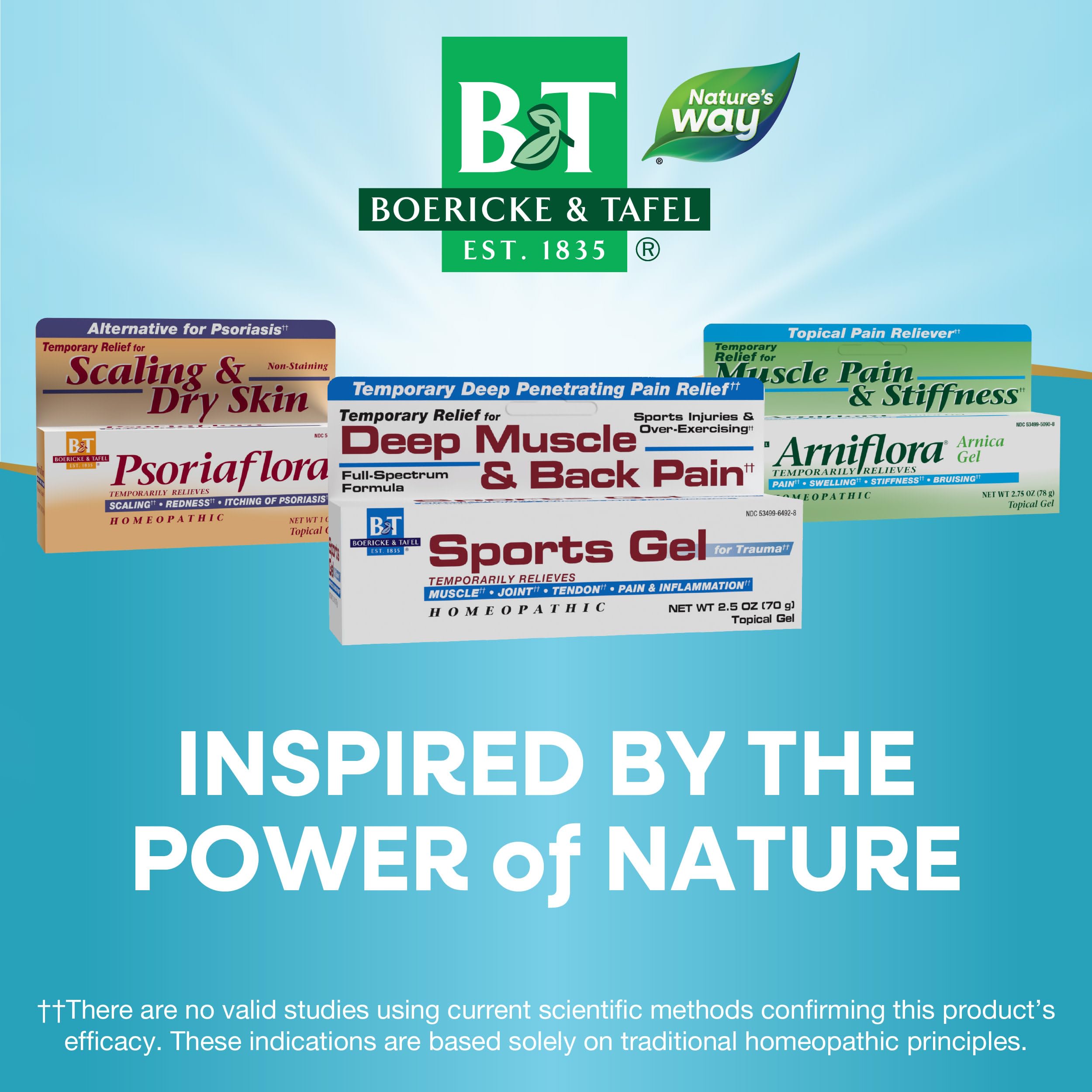 Nature's Way Boericke & Tafel Sports Gel, Relief for Deep Muscle, Joint, Tendon, & Back Pain and Inflammation, Homeopathic, 2.5 oz Nature's Way uk supplements