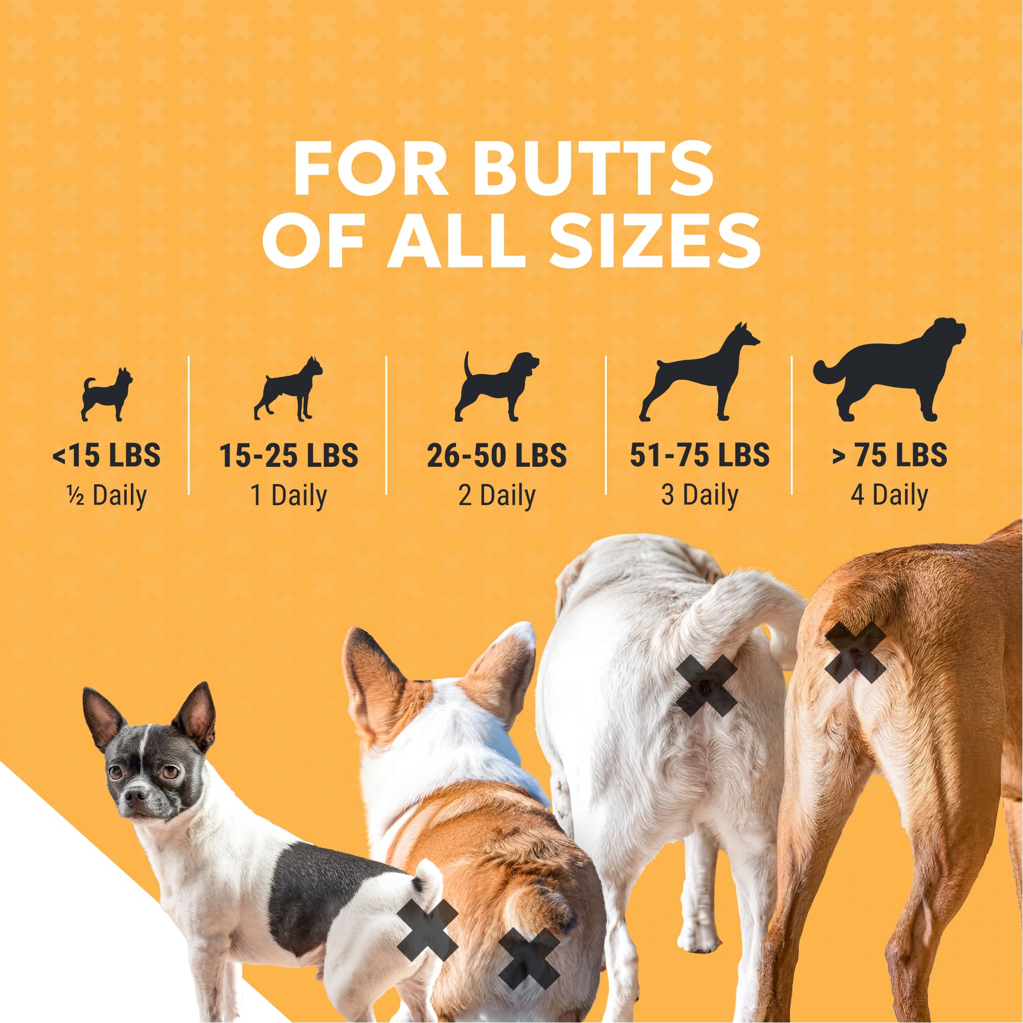Nutramax Filaquin Anal Gland Supplement for Dogs, from The Same Company as Cosequin & Proviable, with Pre & Postbiotics and Psyllium Husk Fiber to Support Anal Gland Health, 90 Count Soft Chews Nutramax Laboratories uk supplements