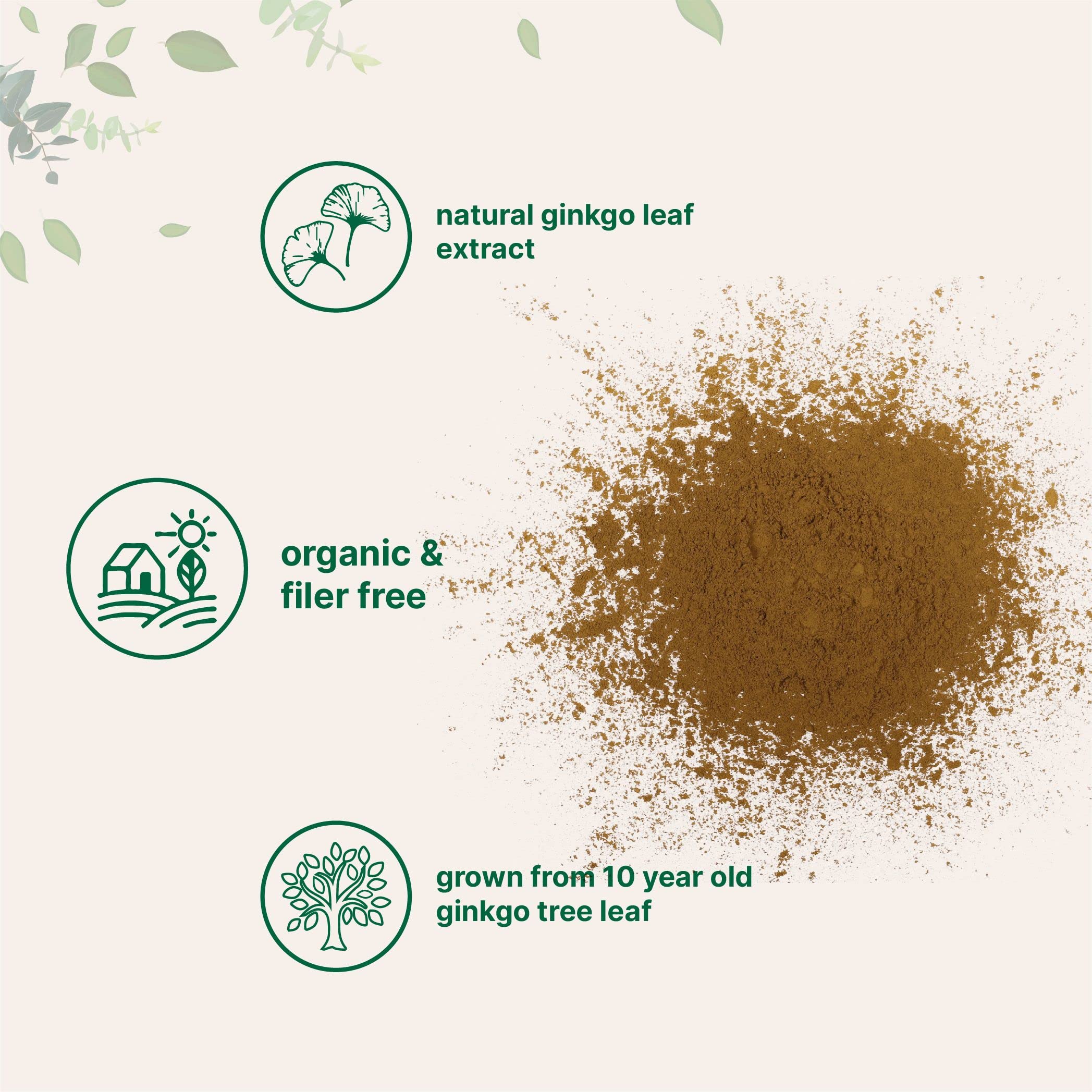 Micro Ingredients Raw Organic Ginkgo Biloba Powder, 8 Ounce (18 Months Supply) Micro Ingredients uk supplements