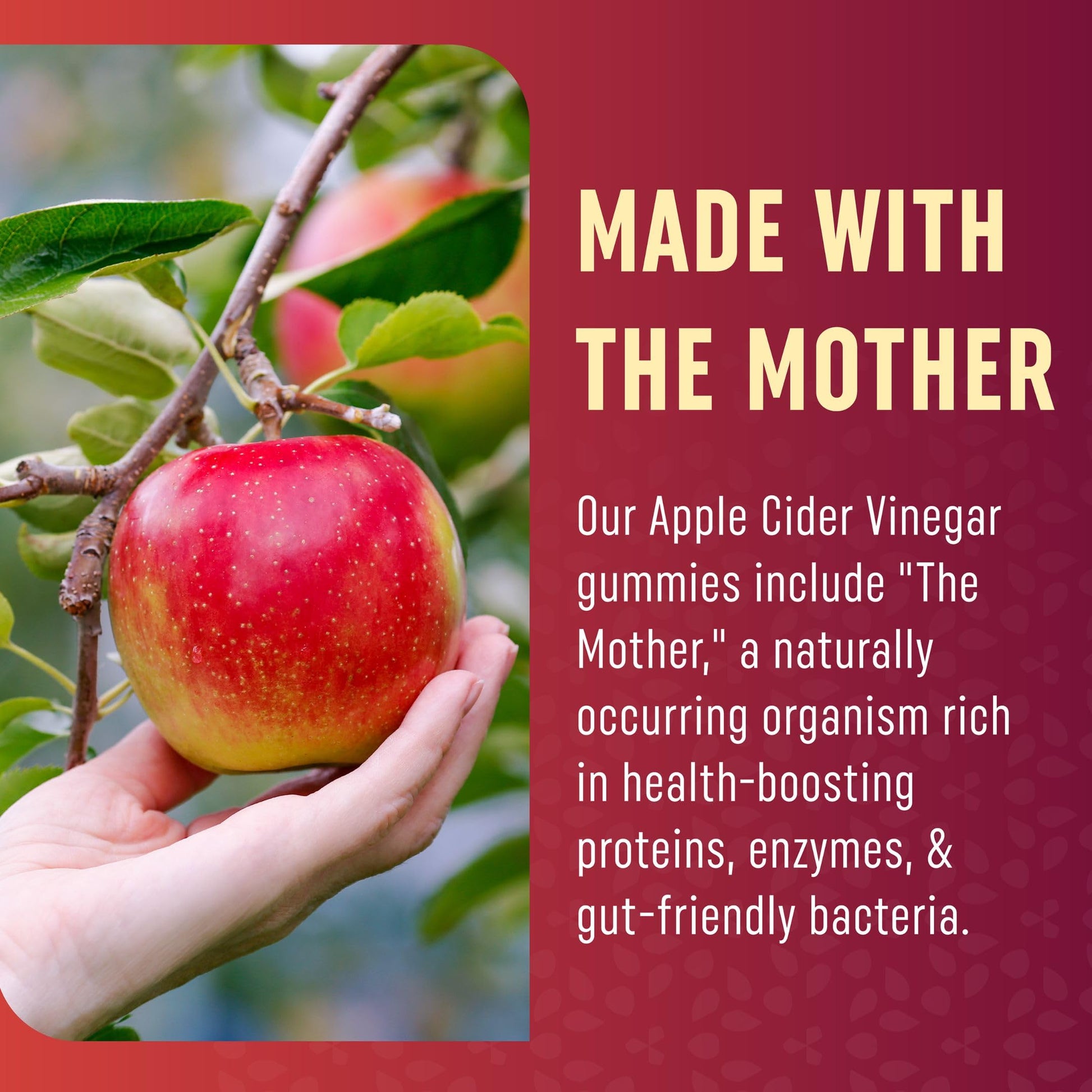 Organic Apple Cider Vinegar Gummies (60 Ct.) | Weight, Digestion, Detox, Immunity & Diet Support MAV NUTRITION uk supplements