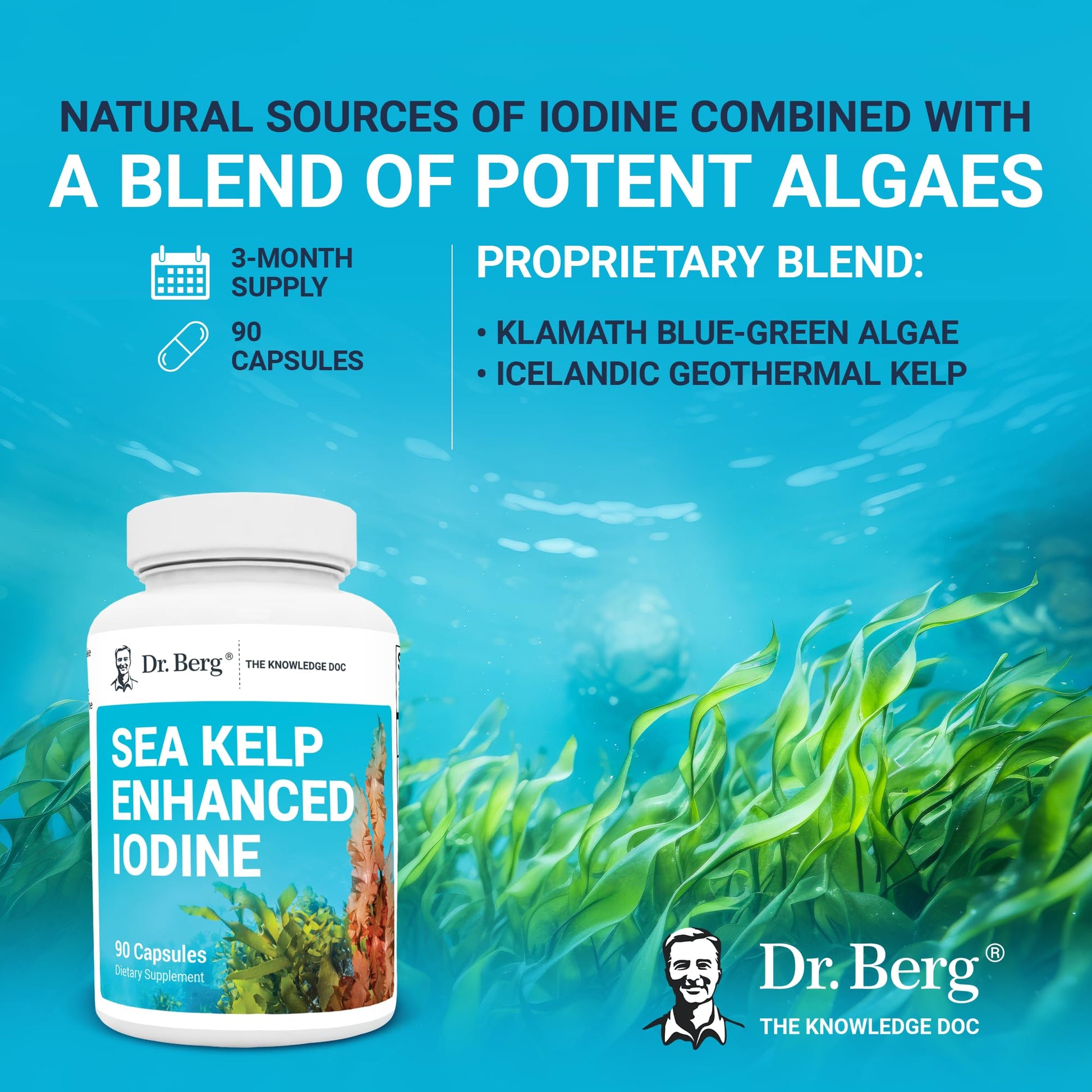 Dr. Berg's Sea Kelp Enhanced - Pure Healthy Thyroid Support Natural Antioxidants Dr. Berg Nutritionals uk supplements