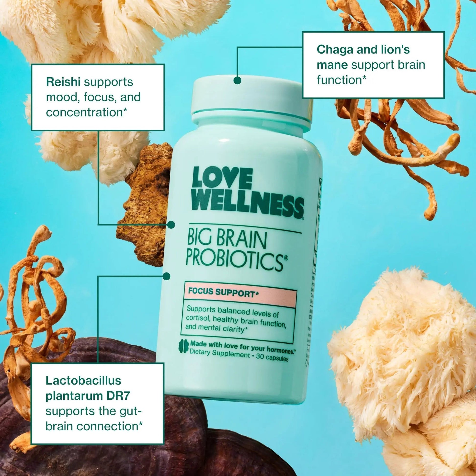 Love Wellness Daily Love Multivitamin & Big Brain Probiotics | Mind and Body Duo | Womens Vitamin and Probitoic Love Wellness uk supplements
