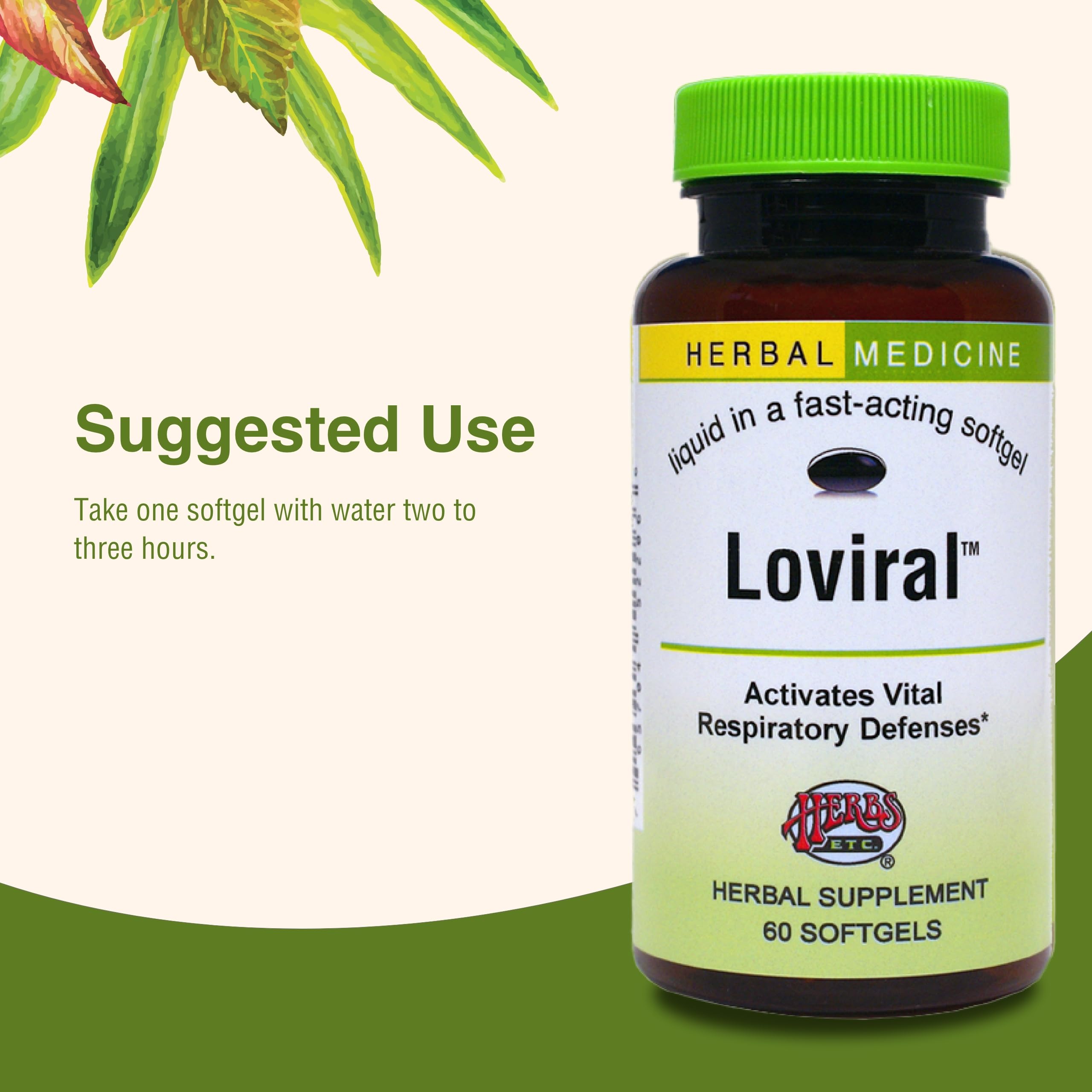 Herbs Etc. Loviral - Lung Health Supplement for Respiratory Defense & Support - Herbal Supplement with Lomatium, Pelargonium & OSHA - Gluten-Free - 60 Softgels (60 Servings) Herbs Etc. uk supplements