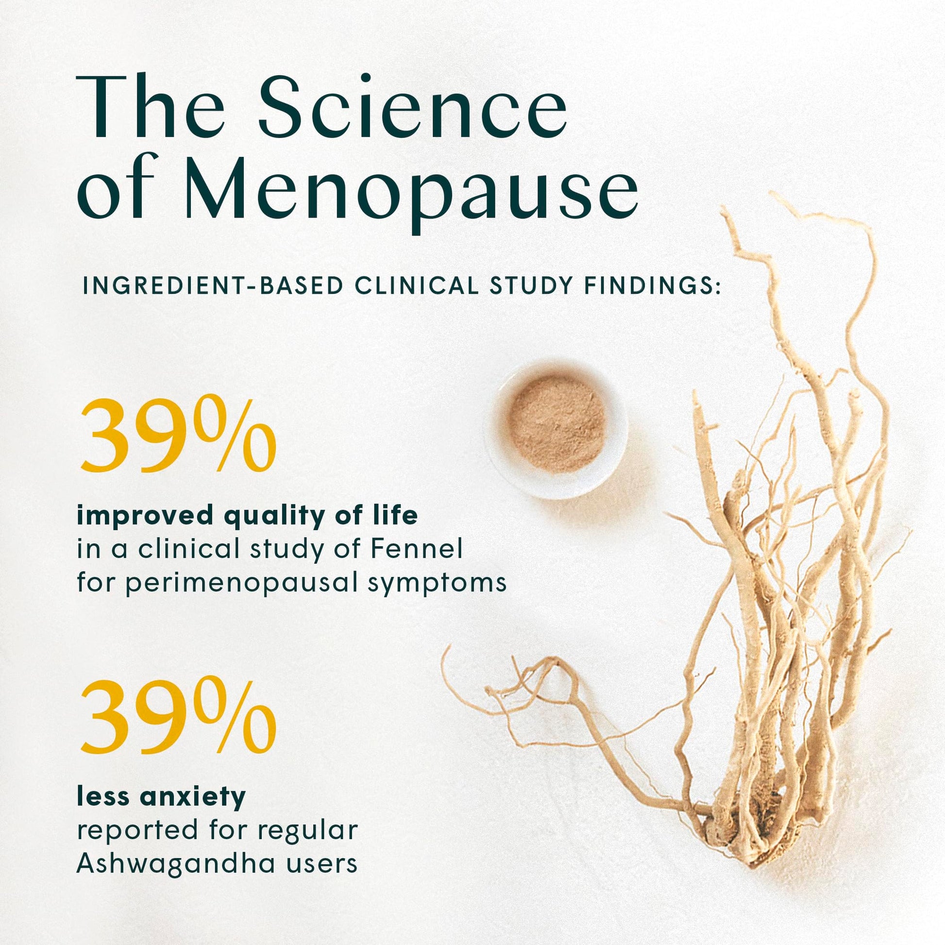 Wile Perimenopause Supplement for Women with Ashwagandha, Kudzu Root, Hops Extract WILE uk supplements