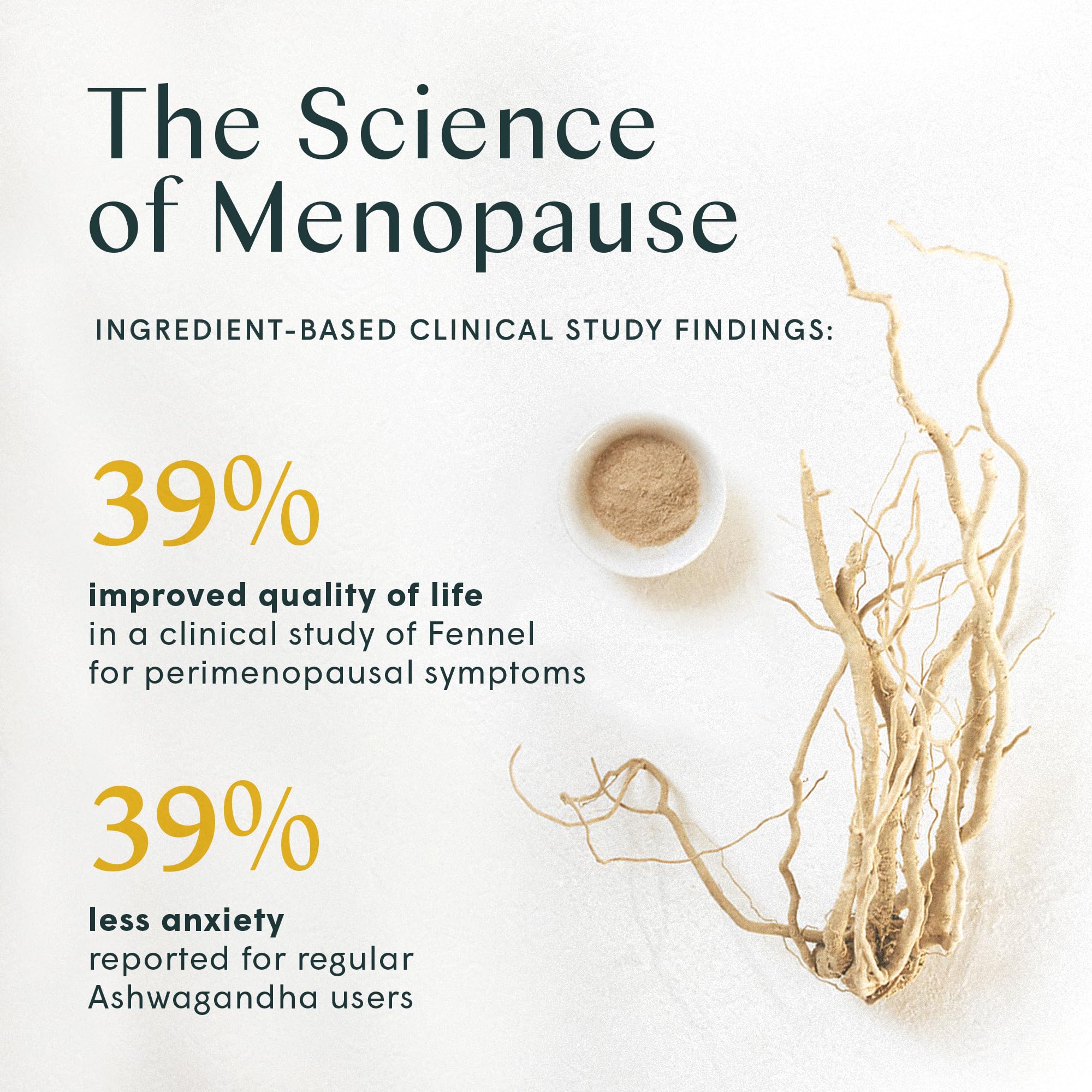 Wile Perimenopause Supplement for Women with Ashwagandha, Kudzu Root, Hops Extract WILE uk supplements