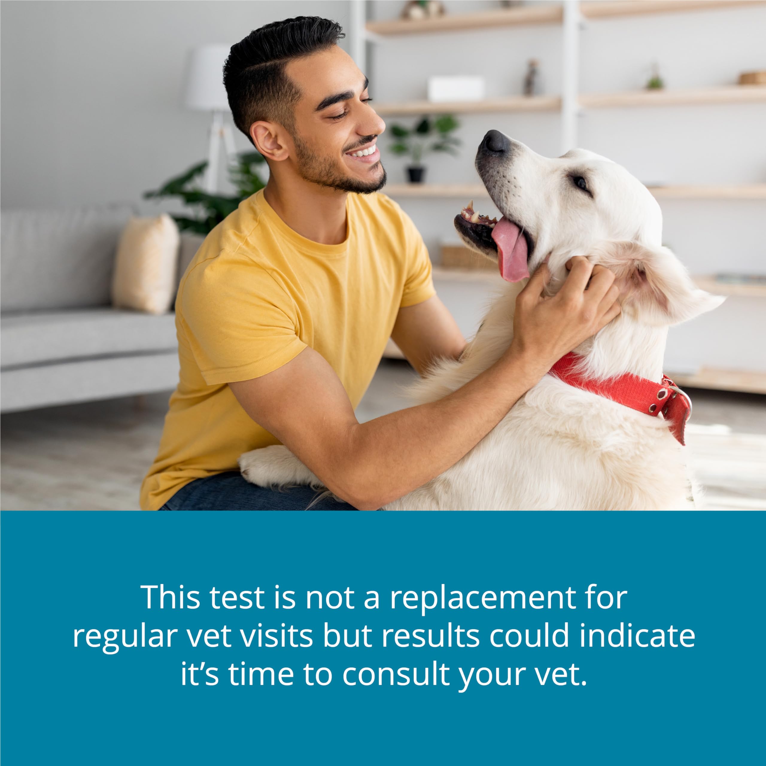 Petivity At-Home Kidney Health Test Kit for Dogs — Quick Saliva Urea Test (2-Minute Home Check), Powered by Purina — Help Detect Early Kidney Changes - (Pack of 3) petivity uk supplements
