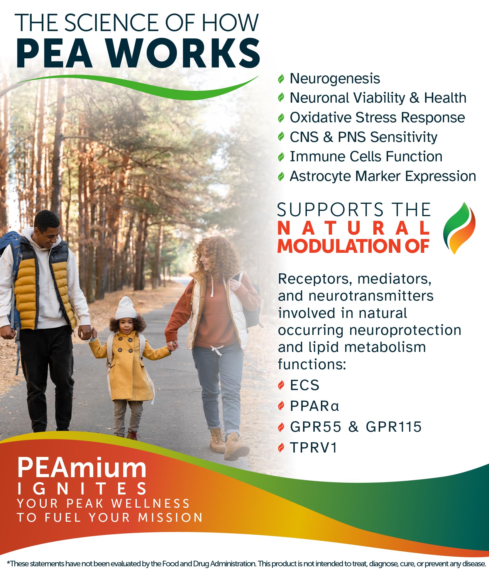 Palmitoylethanolamide 450mg Comfort Mobility Nerves Cognitive & Immune Support - Micronized High Absorption - All Natural Pea - USA Made - No Additives or Excipients – 60 Vegan Capsules Supplement Awakened.energy uk supplements