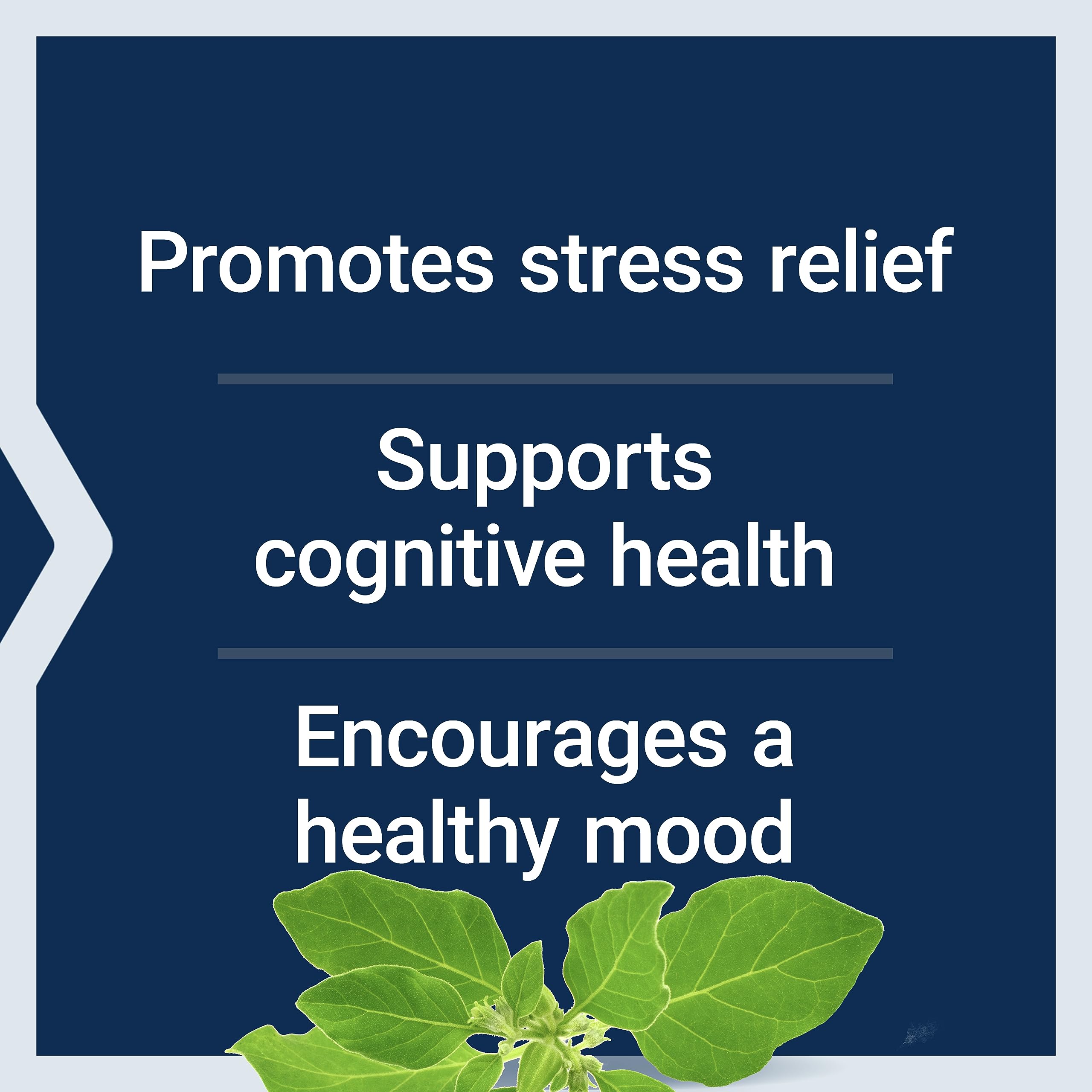 Life Extension Optimized Ashwagandha - Stress Management Supplement for a Healthy Stress Response, Focus, Memory, Stress Relief - Vegetarian, Gluten-Free, Non-GMO, 60 Capsules Life Extension uk supplements