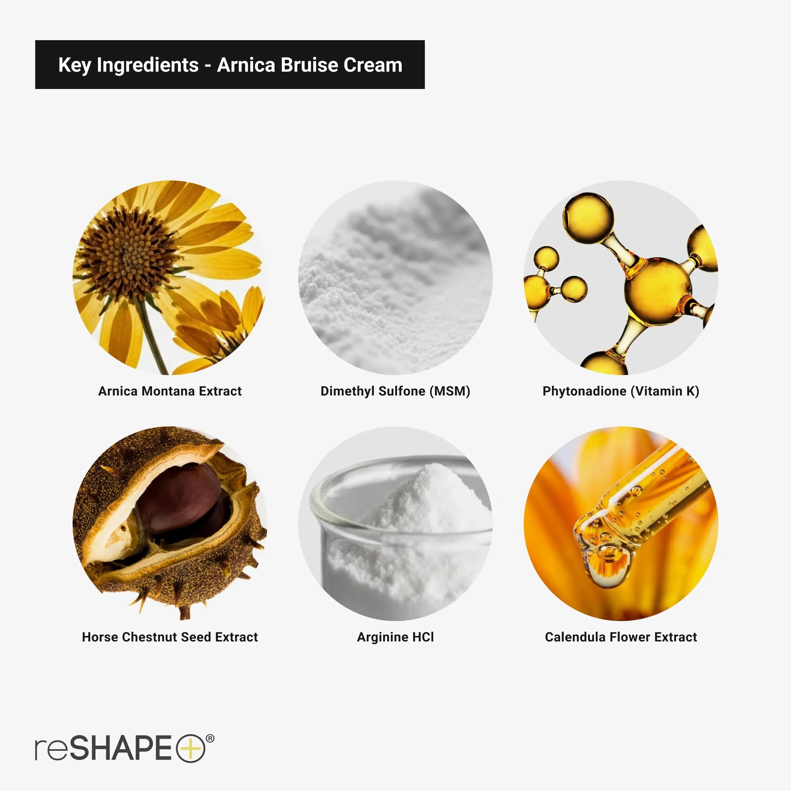 Reshape+ Arnica Bruise Relief Topical Cream For Bruising, Swelling, & Discoloration On Skin, Natural Skin Care Homeopathic Arnica Lotion W/Vitamin K, Horse Chestnut, & Collagen, Large 8 Fl Oz Reshape+ uk supplements