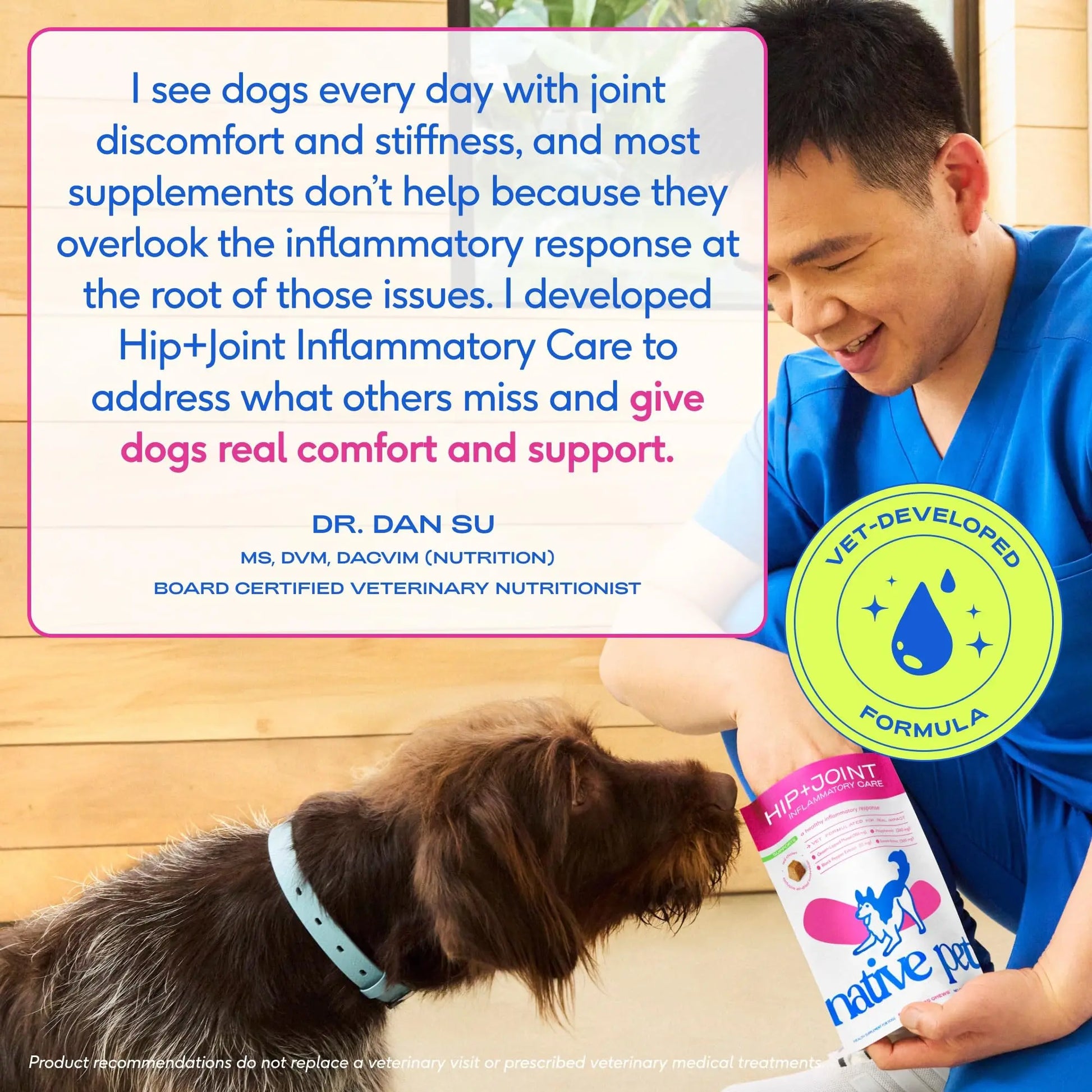 Native Pet Inflammatory Care - Pain Relief for Dogs - Green-Lipped Mussel, Turmeric & Collagen for Dogs - Hip and Joint Supplement Supports Healthy Inflammatory Response & Joint Comfort - 60 Chews Native Pet uk supplements