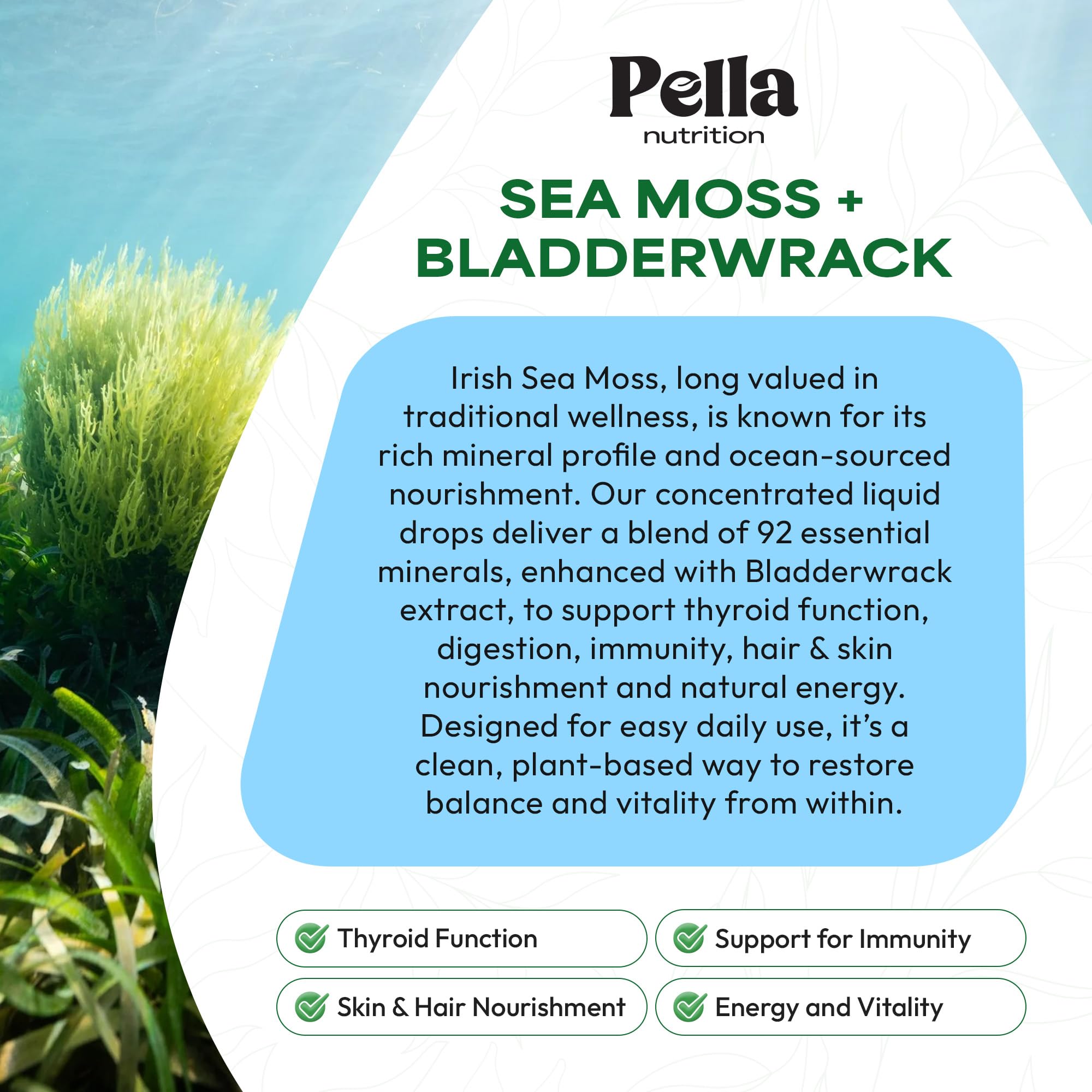 Pella Nutrition Sea Moss Drops with Bladderwrack – 4X Faster Absorption Than Irish Sea Moss Gel Superfood, Gummies, and Capsules – Digestive & Immune Support Supplement (Strawberry Lime, 60mL) Pella Nutrition uk supplements