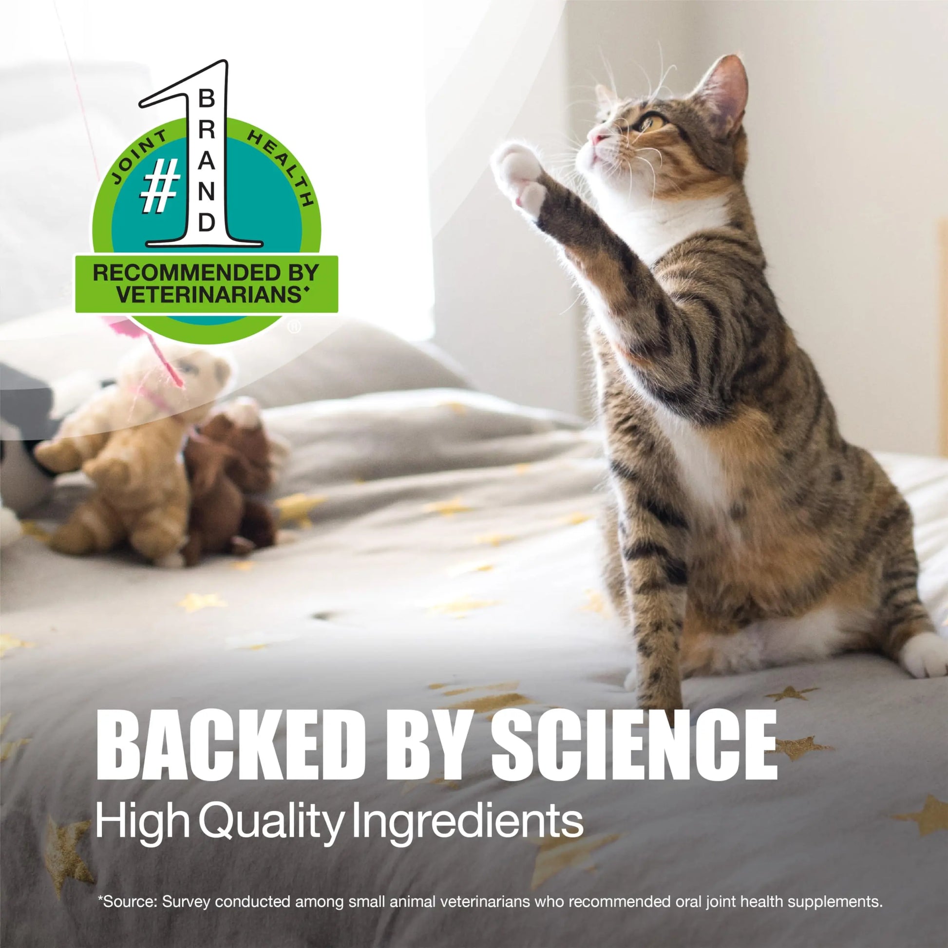 Nutramax Laboratories Dasuquin Joint Health Supplement for Cats - With Glucosamine, Chondroitin, ASU, Boswellia Serrata Extract, and Green Tea Extract, 84 Capsules Nutramax Laboratories uk supplements