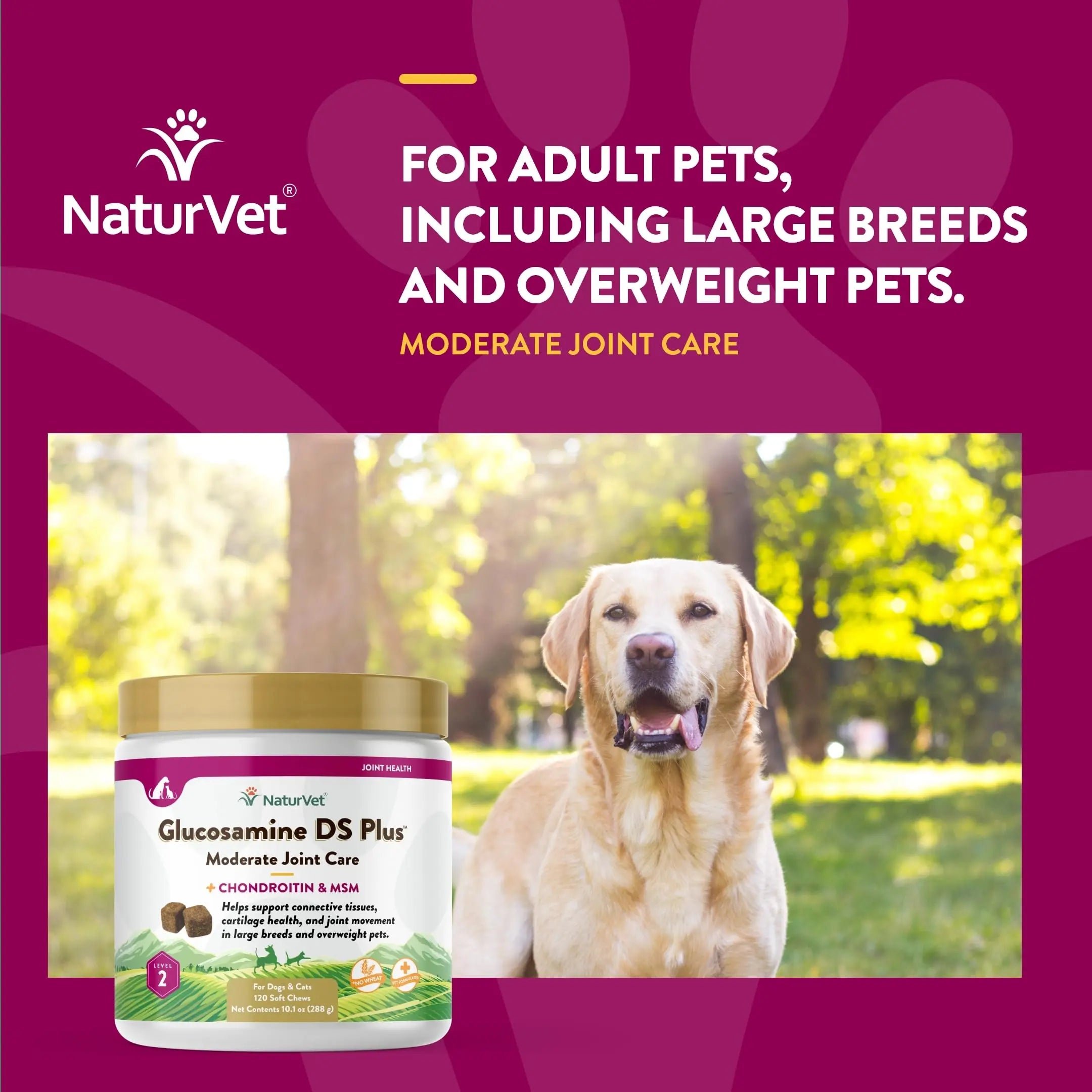 NaturVet – Glucosamine DS Plus - Level 2 Moderate Care – Supports Healthy Hip & Joint Function – Enhanced with Glucosamine, MSM & Chondroitin – for Dogs & Cats–120 Soft Chews NaturVet uk supplements