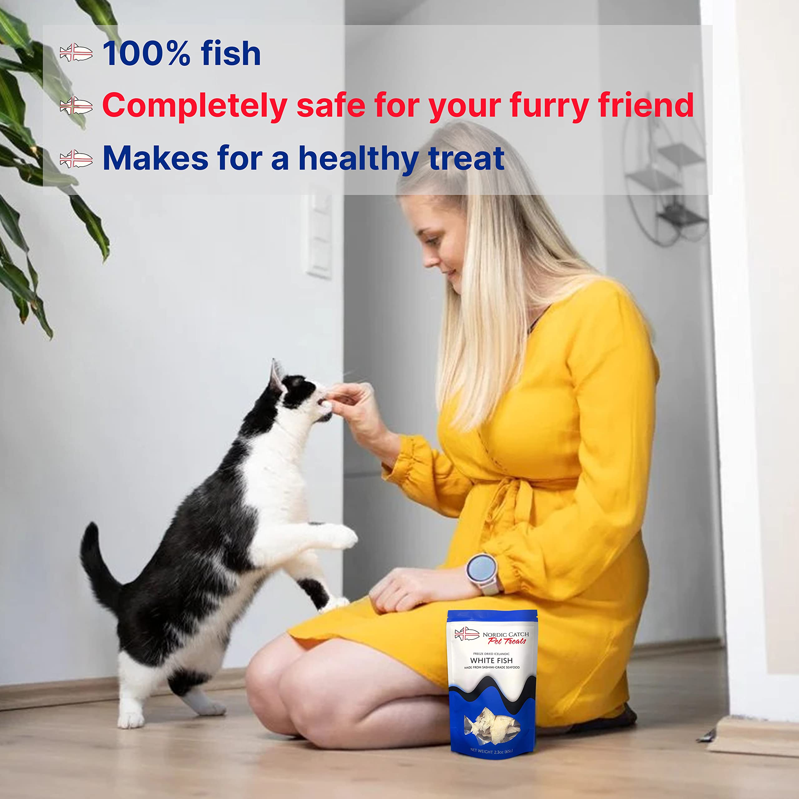 Nordic Catch Freeze Dried Fish Pet Treats from Iceland - Pure, All Natural Seafood Snacks for Dogs, Cats and Other Pets - Human Safe Ingredients, Made from Sashimi Grade Seafood - White Fish Nordic Catch uk supplements
