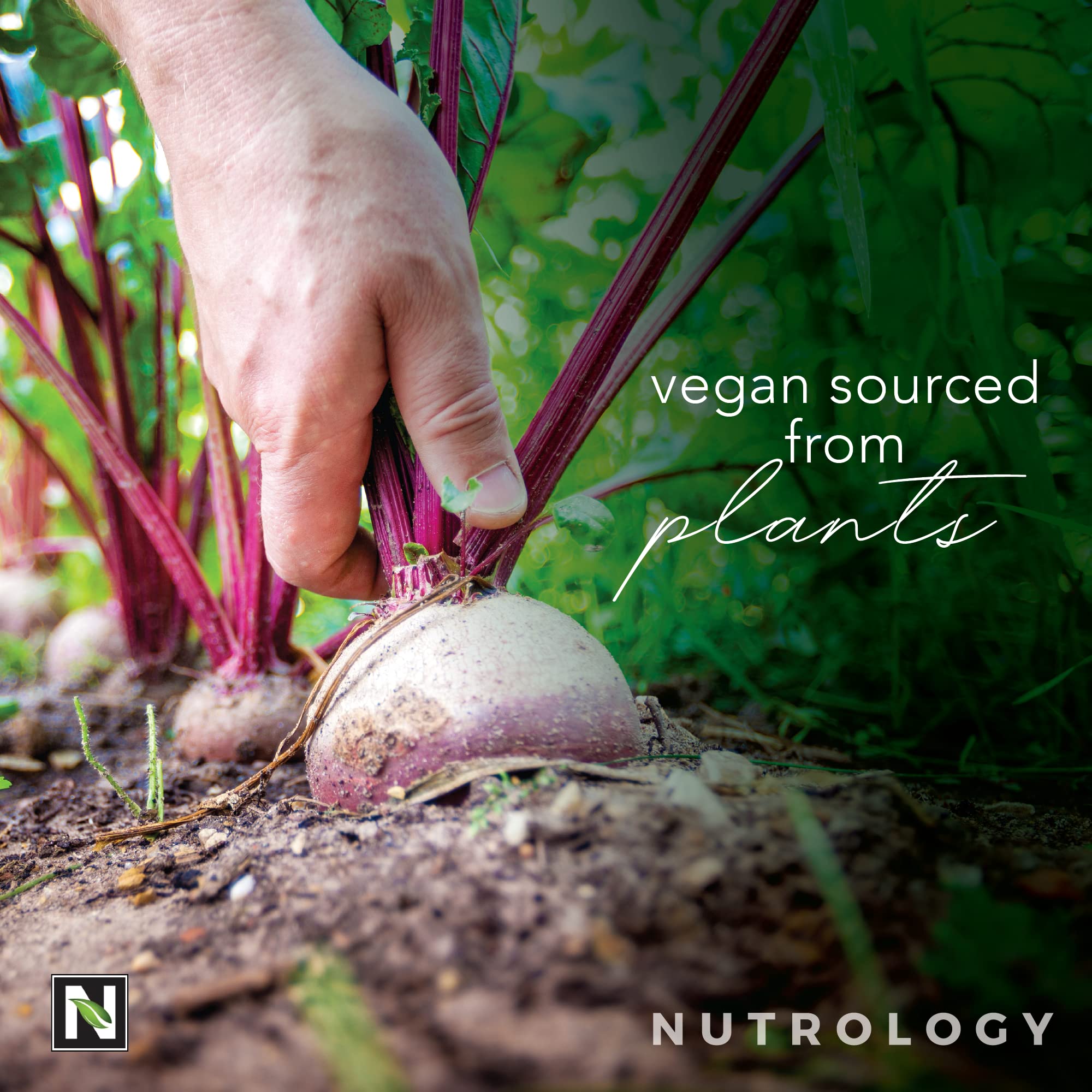 Nutrology Beet Natural O2, Pre Workout Powder, Energy, Endurance; Nitric Oxide Booster Nutrology uk supplements