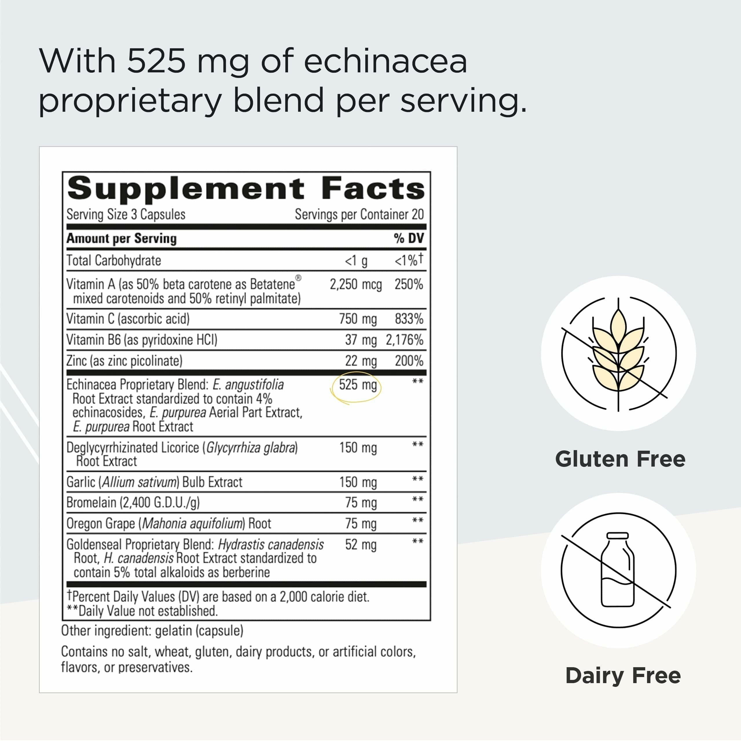 Integrative Therapeutics EHB - Immune Support Supplement with Vitamins A, C & B6* - Mineral Support with Zinc - Dairy-Free & Gluten-Free - 60 Capsules (20 Servings) Integrative Therapeutics uk supplements