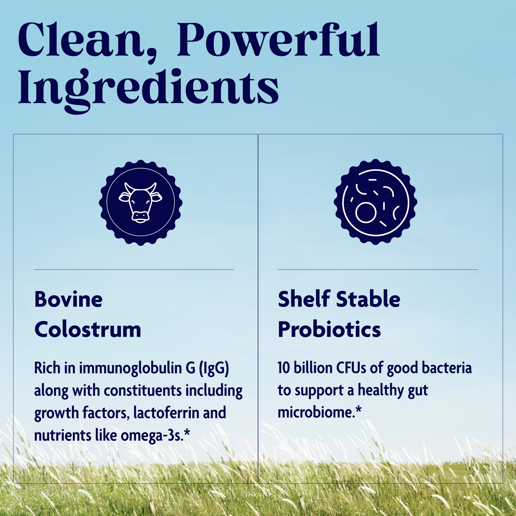 Enzymedica Colostrum + Probiotics Powder Supplement - Grass Fed Bovine Colostrum for Women & Men, Peptide & Lactoferrin Support, Promotes Hair, Skin, Nails, Immune & Gut Health, Gluten Free - 3.25 oz Enzymedica uk supplements