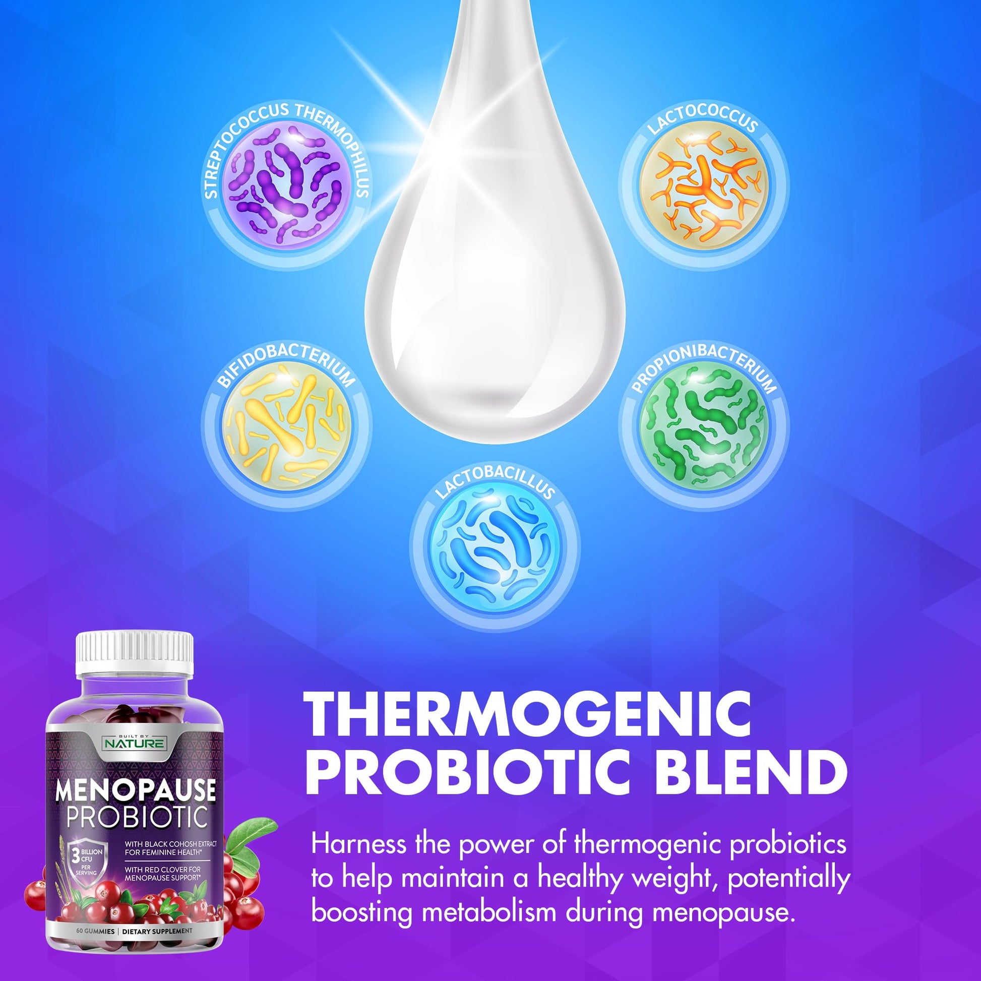 Menopause Supplements for Women - Menopause Probiotic Gummy - Women’s Menopause Relief for Hot Flashes, Night Sweats & Mood Swings with Black Cohosh & Cranberry - Non-GMO, Vegan - 60 Gummies Built by Nature uk supplements