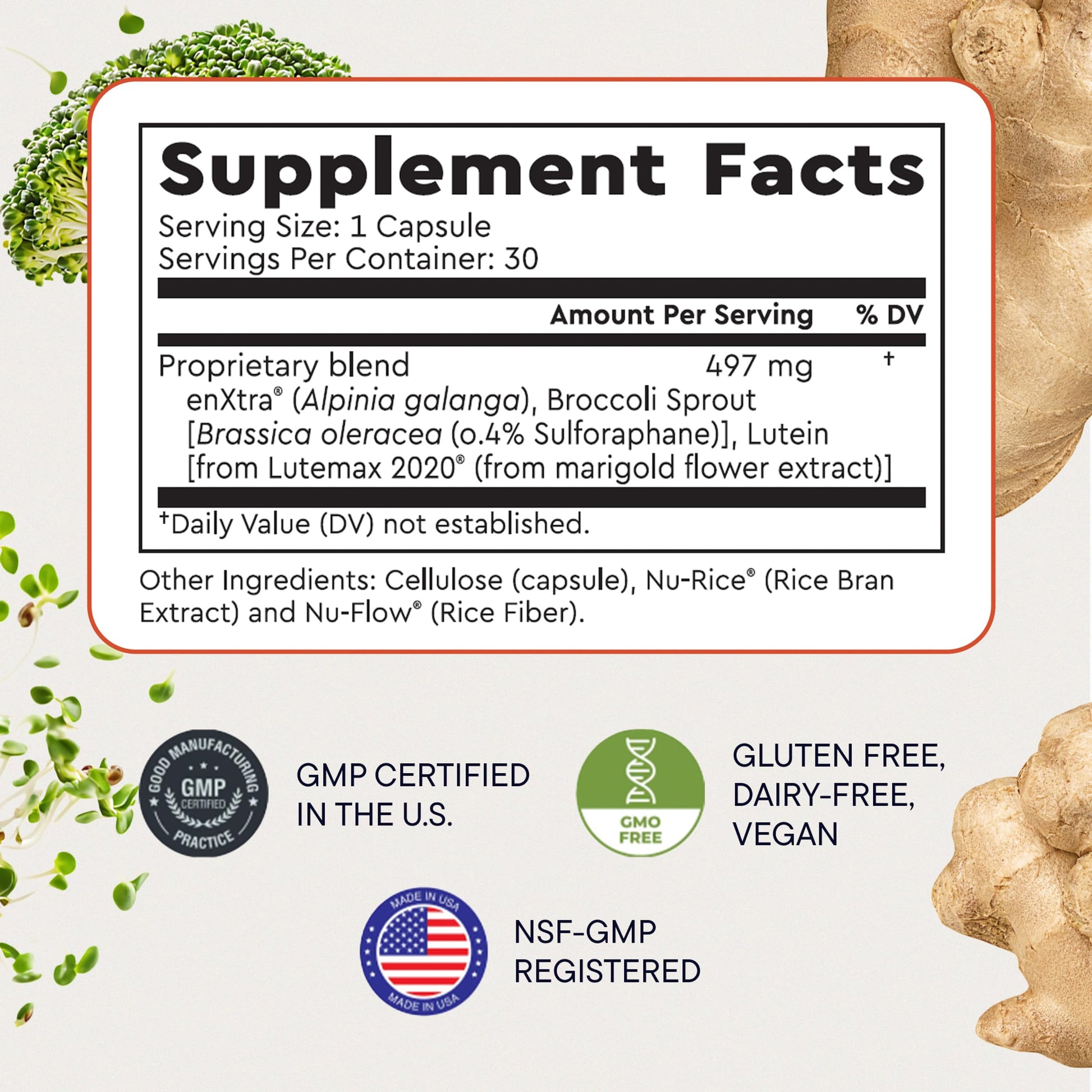 Berkeley Life Cognitive Support Supplement for Memory & Focus - Brain Health Supplements Supports Memory Loss, Mental Clarity, Inability to Multitask & Loss of Speed - for Adults - 30 Capsules Berkeley Life uk supplements