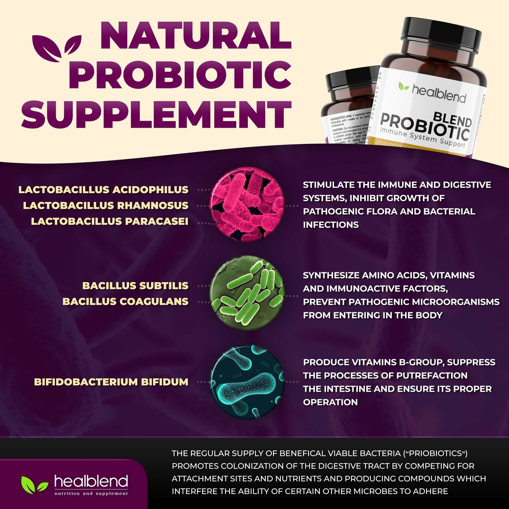 healblend Probiotic Caps Dietary Supplement Capsules, Probiotic for Women and for Men Digestive Health, Immune System Support, Non-GMO, Gluten-Free, 120 Veg Caps healblend uk supplements