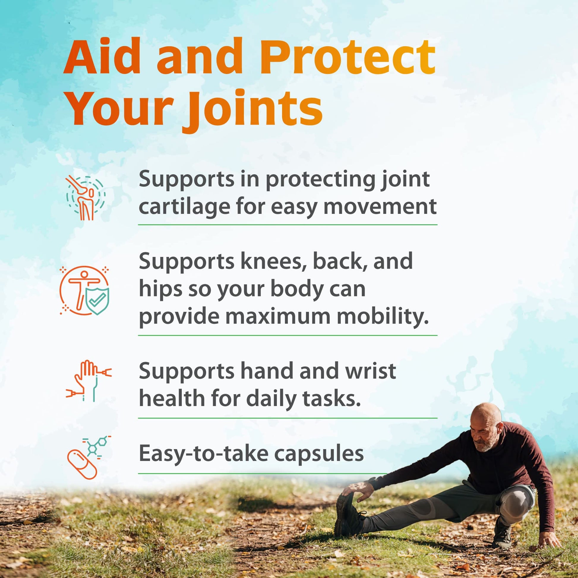 Zenith Labs Joint N-11 Joint Health Supplement Zenith Labs uk supplements