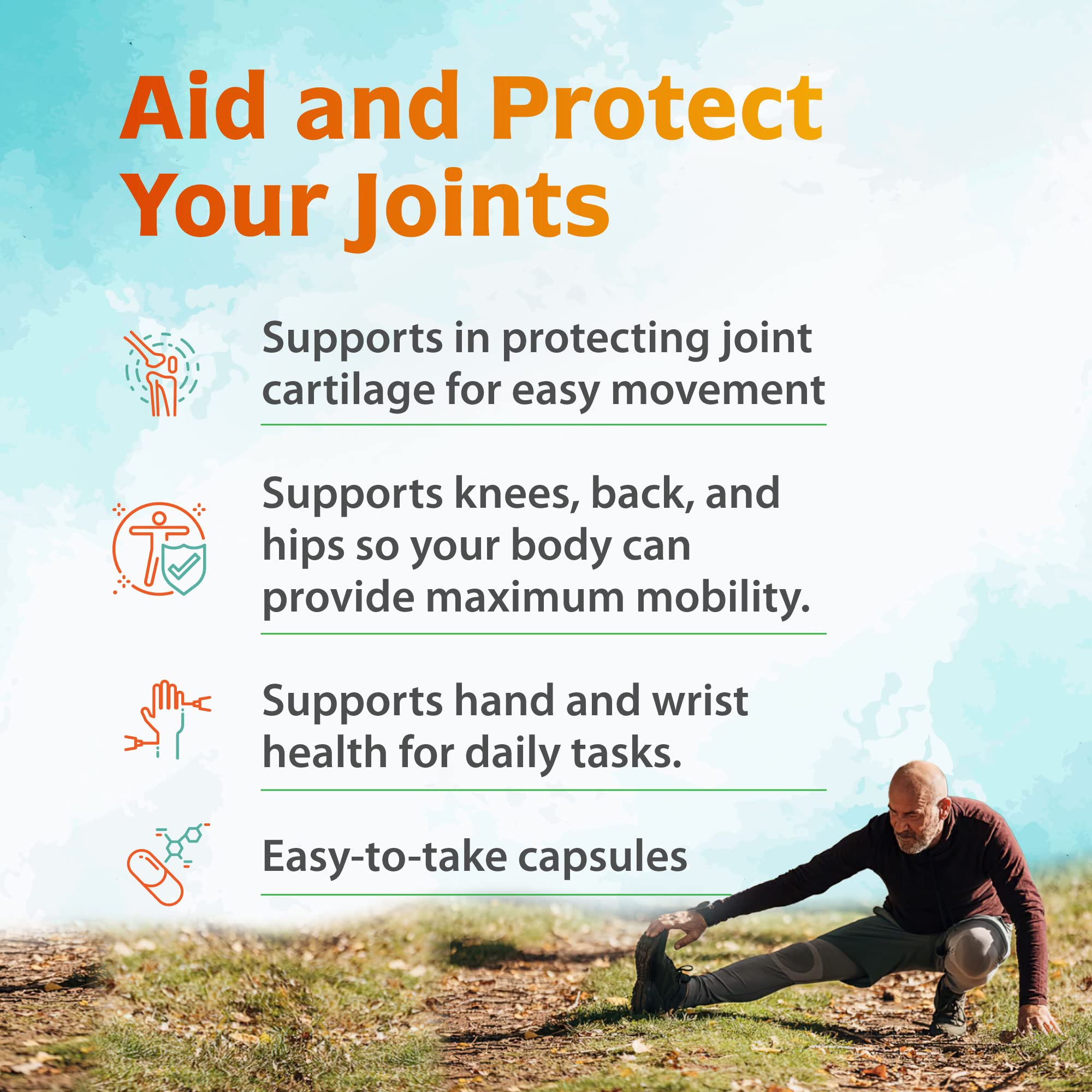 Zenith Labs Joint N-11 Joint Health Supplement Zenith Labs uk supplements