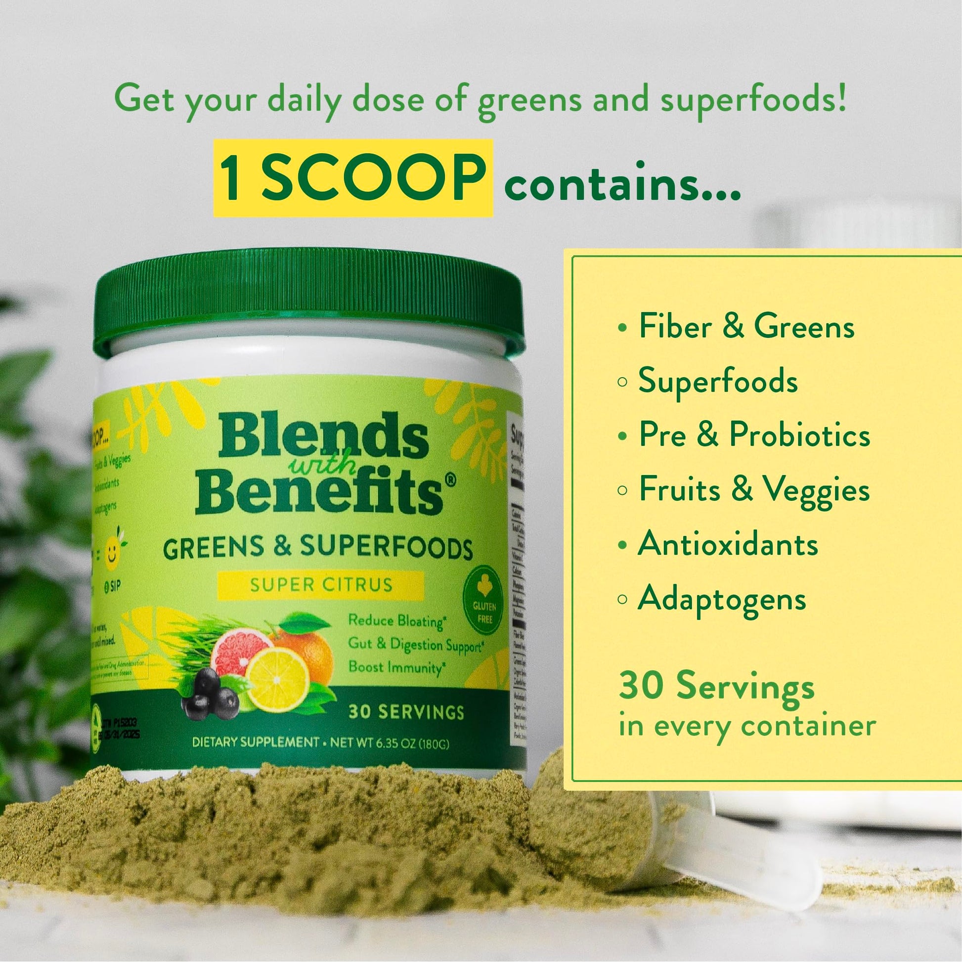 360 Nutrition Blends with Benefits Super Greens Powder w/Probiotics, Digestive Enzymes, Sugar & Gluten Free, Plant Based Superfood Drink Mix for Gut Health, Bloating, Immunity, Overall Health, 6.35 oz 360 Nutrition uk supplements