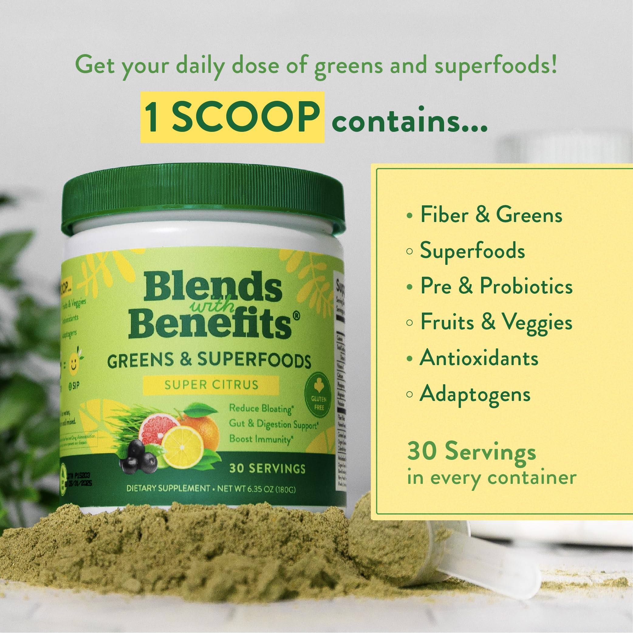 360 Nutrition Blends with Benefits Super Greens Powder w/Probiotics, Digestive Enzymes, Sugar & Gluten Free, Plant Based Superfood Drink Mix for Gut Health, Bloating, Immunity, Overall Health, 6.35 oz 360 Nutrition uk supplements