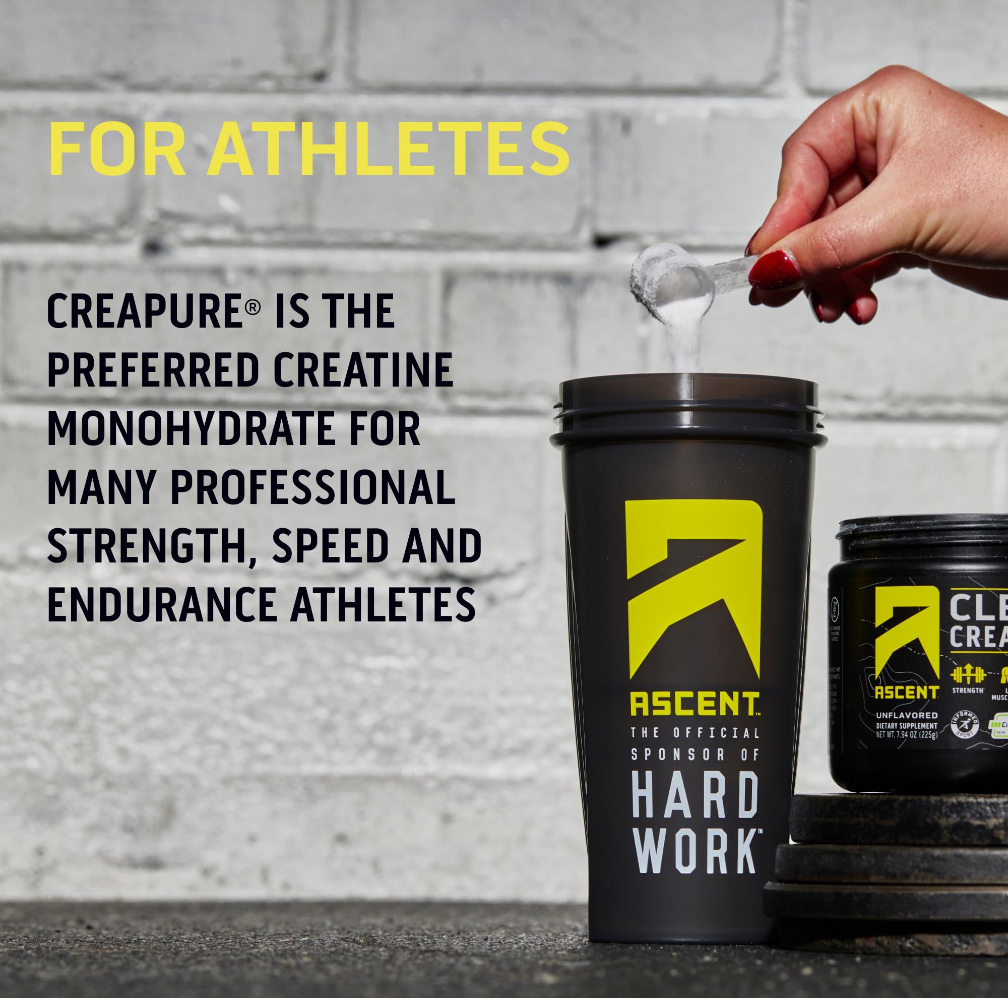 Ascent Clean Creatine Monohydrate Powder - 5G Per Serving, Creapure Creatine Supple Ascent uk supplements