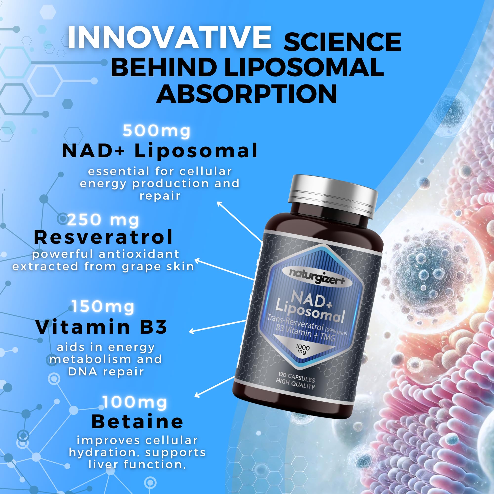 naturgizer+ Liposomal NAD+ Supplement with Resveratrol, TMG & Vitamin B3 | 4-in-1 Healthy Aging & Cellular Energy Support | High Absorption NAD Plus for Men & Women Over 40 | 120 Capsules naturgizer+ uk supplements