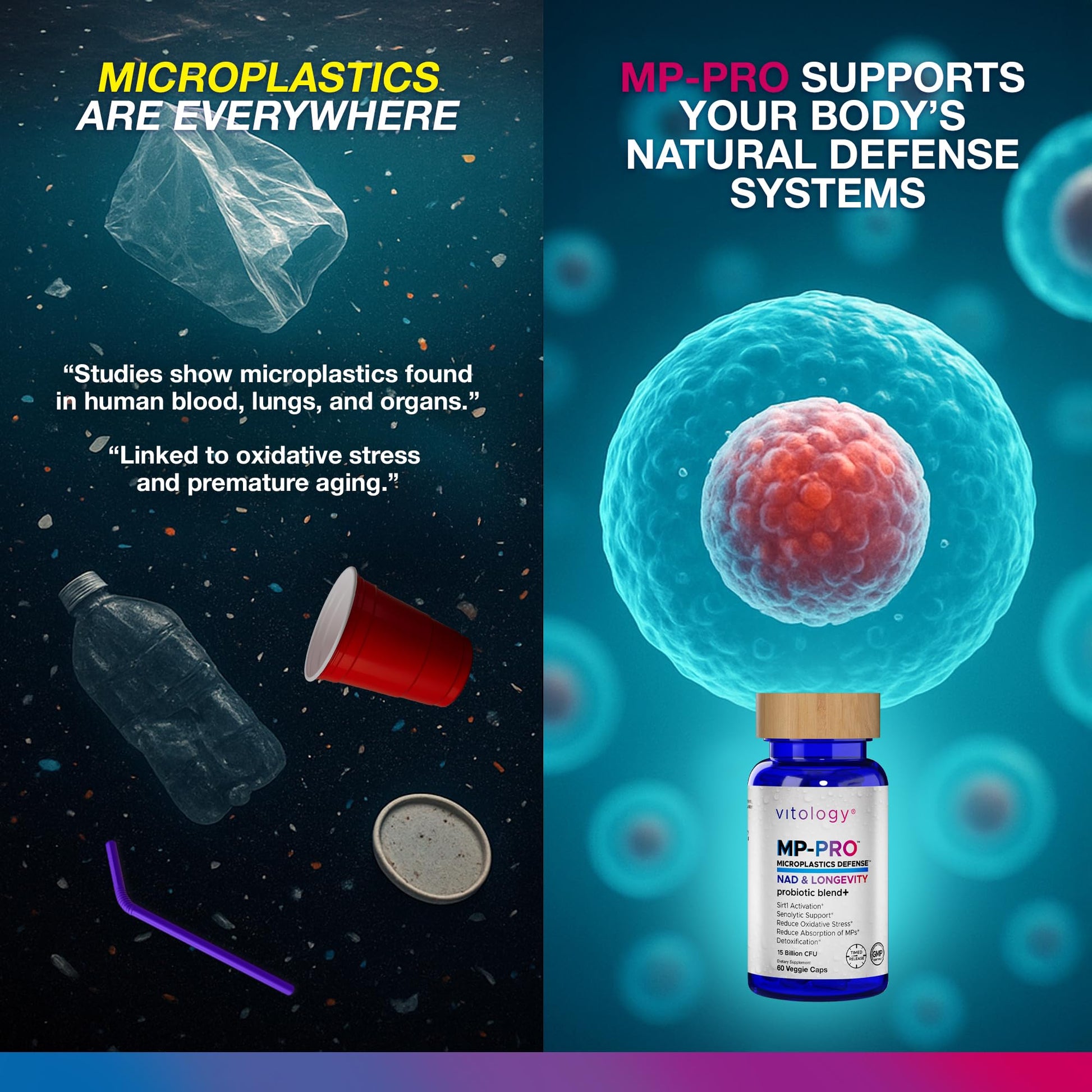 Vitology MP-PRO Microplastics Defense | 15 Billion CFU Probiotic + Antioxidant Blend | NMN, NAC, Glutathione, Resveratrol & Charcoal | Supports Cellular Detox, Longevity & Gut Health – 60 Capsules Vitology uk supplements