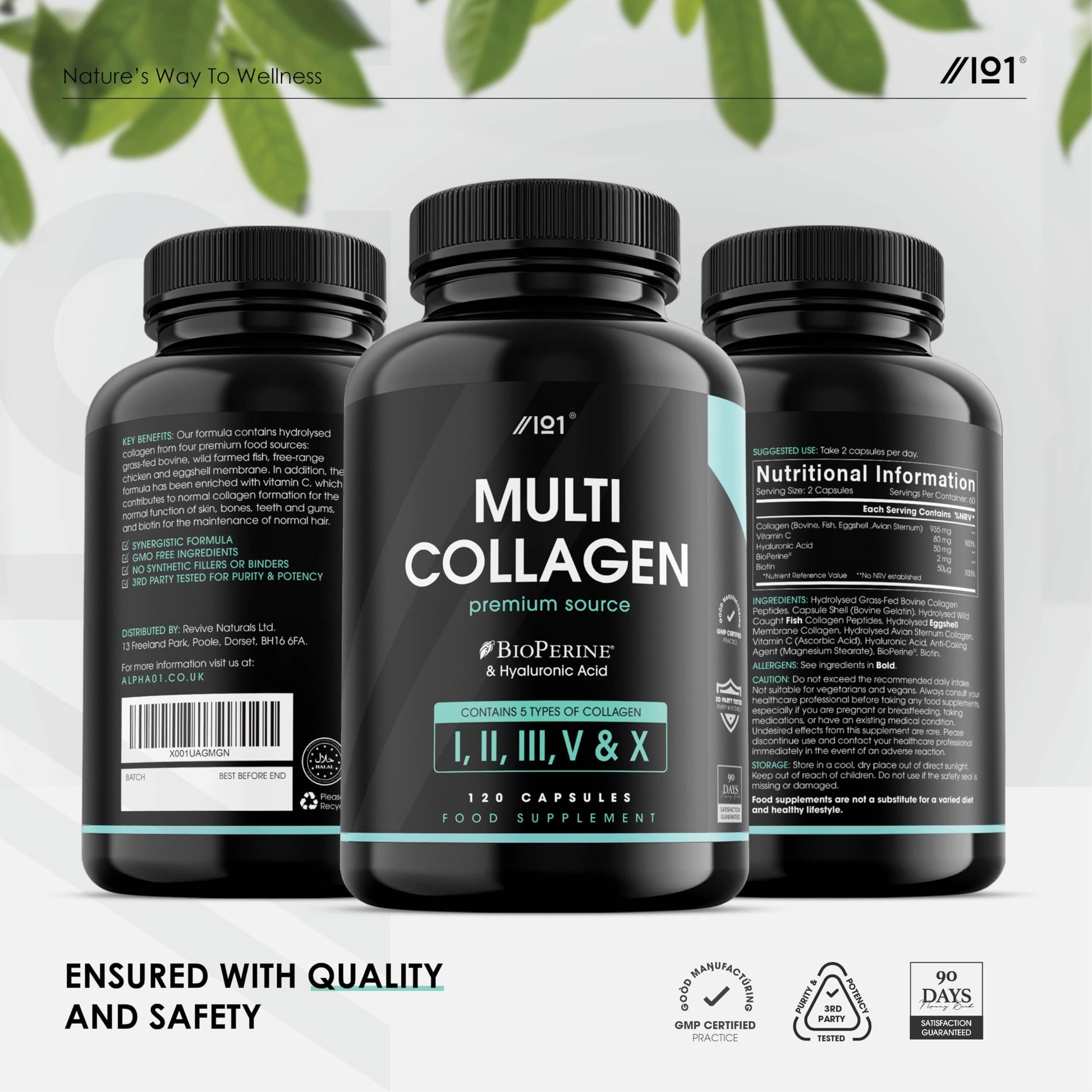 Multi Collagen Capsules - 120 Capsules - Types I, II, III, V & X - Wild Caught Fish, Grass Fed Bovine, Eggshell Revive Naturals uk supplements
