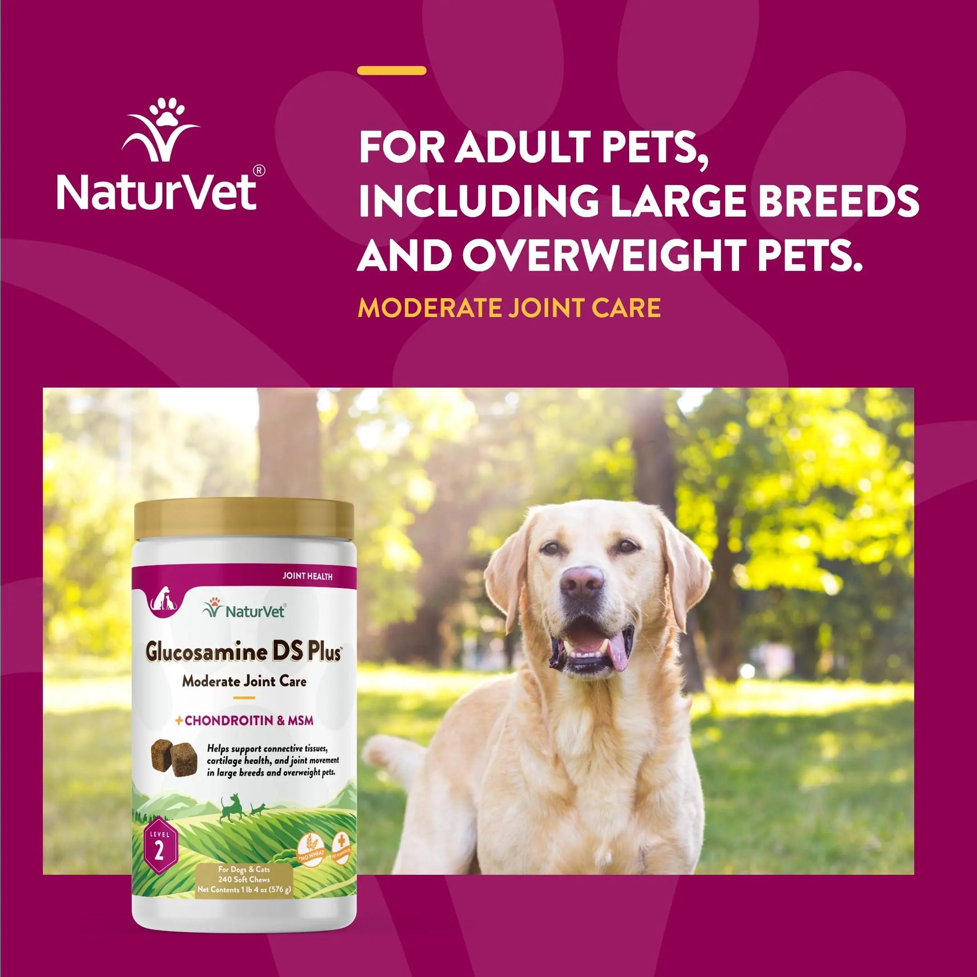 NaturVet – Glucosamine DS Plus - Level 2 Moderate Care – Supports Healthy Hip & Joint Function – Enhanced with Glucosamine, MSM & Chondroitin – for Dogs & Cats – 240 Soft Chews NaturVet uk supplements