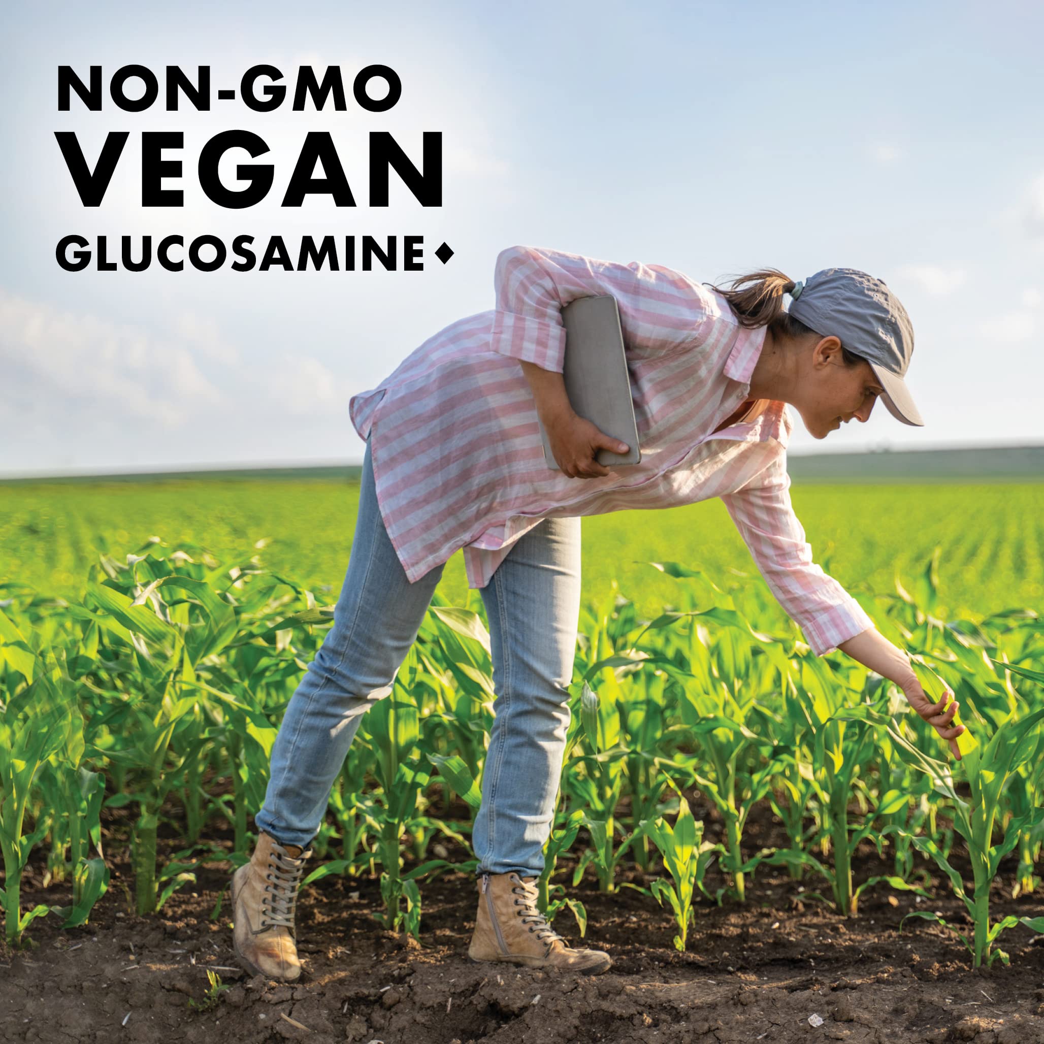 BlueBonnet Vegetarian Glucosamine Plus MSM Supplement, 120 Count ('743715011151) BlueBonnet uk supplements