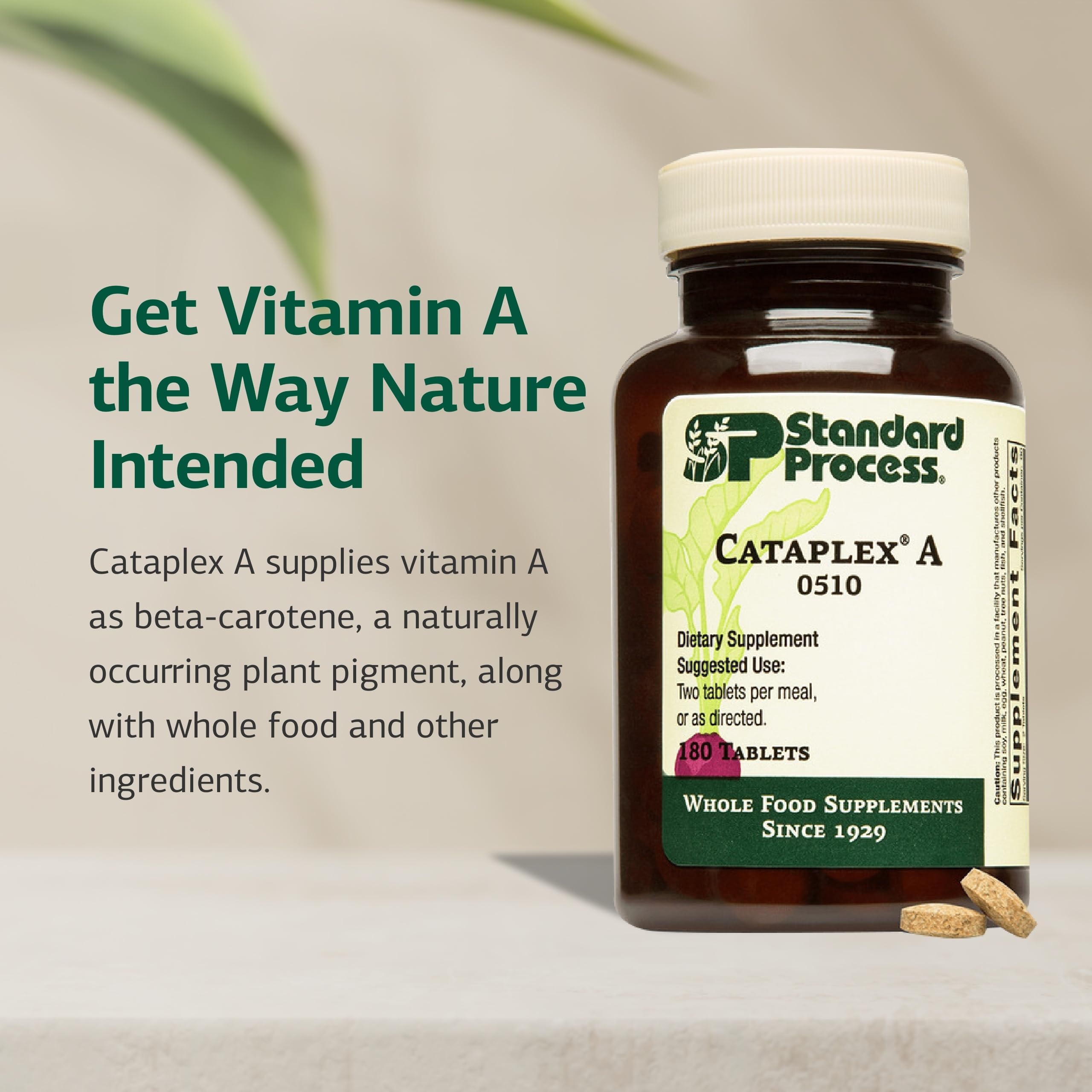 Standard Process Cataplex A - Supports Eye Health & Mucous Membranes - Supports Healthy Vision & Provides Antioxidant Vitamin A - Non-Dairy & Non-Soy - 180 Tablets Standard Process Inc. uk supplements